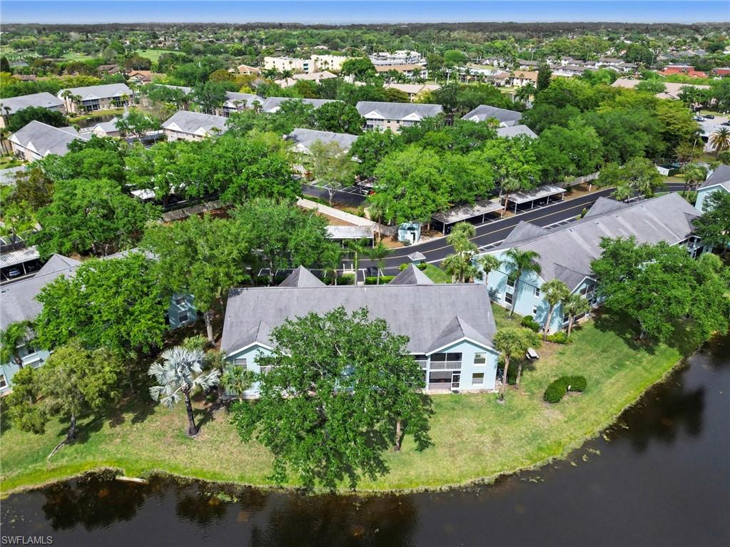 153 Wading Bird CIR J201