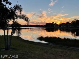 Lake at sunset reflecting colorful clouds, framed by palm trees and shoreline vegetation.