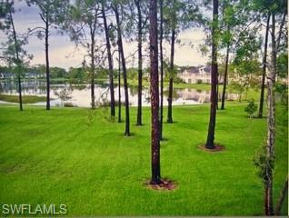 Lakeside view across a green lawn and tall trees toward homes across the water.