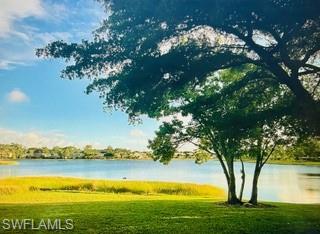Lake view with a spreading tree shading the grassy shoreline.