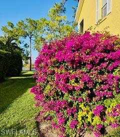 Yellow residential building beside a lawn and dense pink bougainvillea.