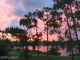 Lake at sunset framed by pine trees, with a grassy shoreline.