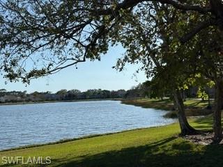 Lake view from a grassy, tree-lined shore with large shade trees in the foreground.