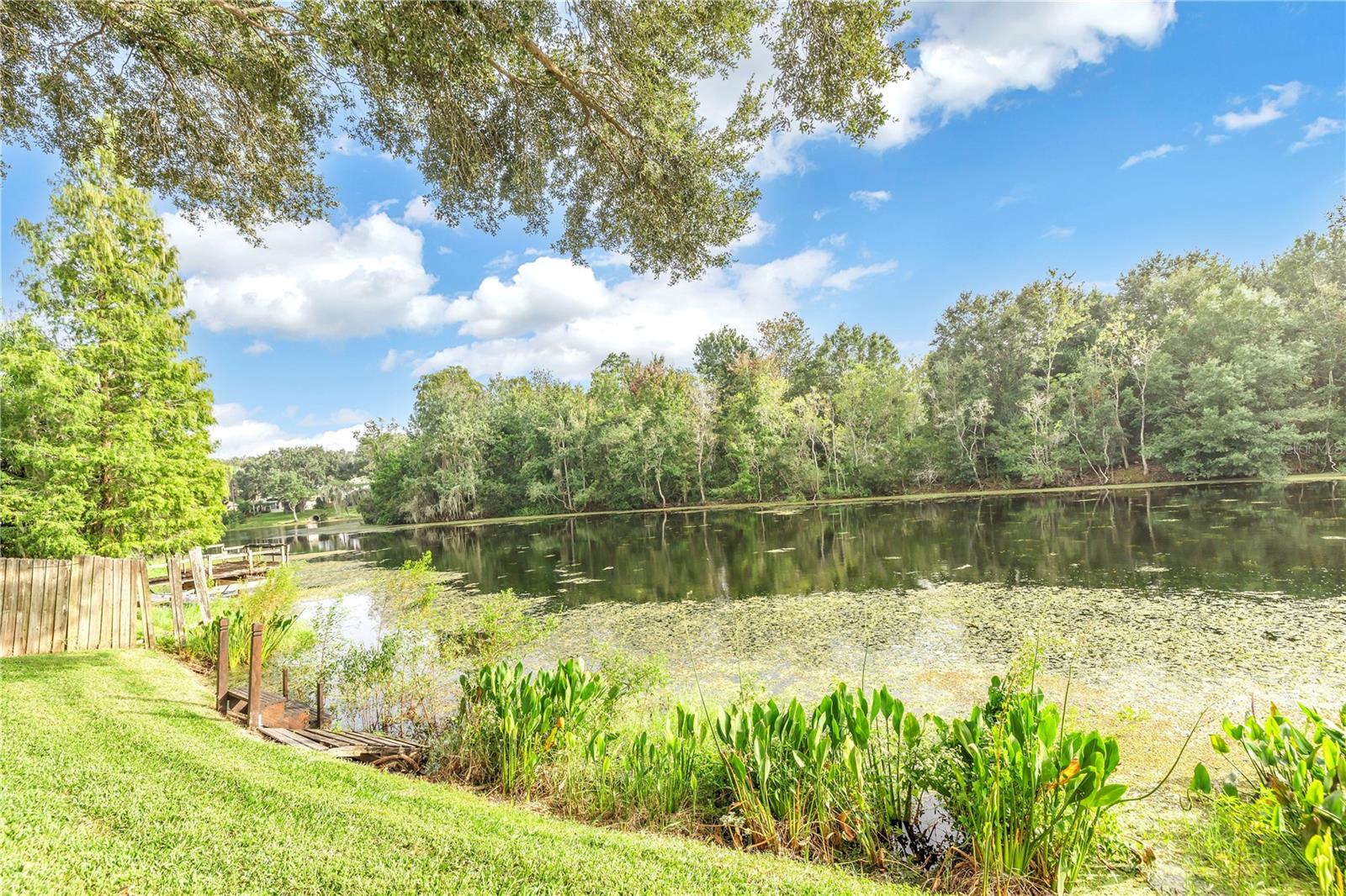 3216 PLEASANT LAKE DR