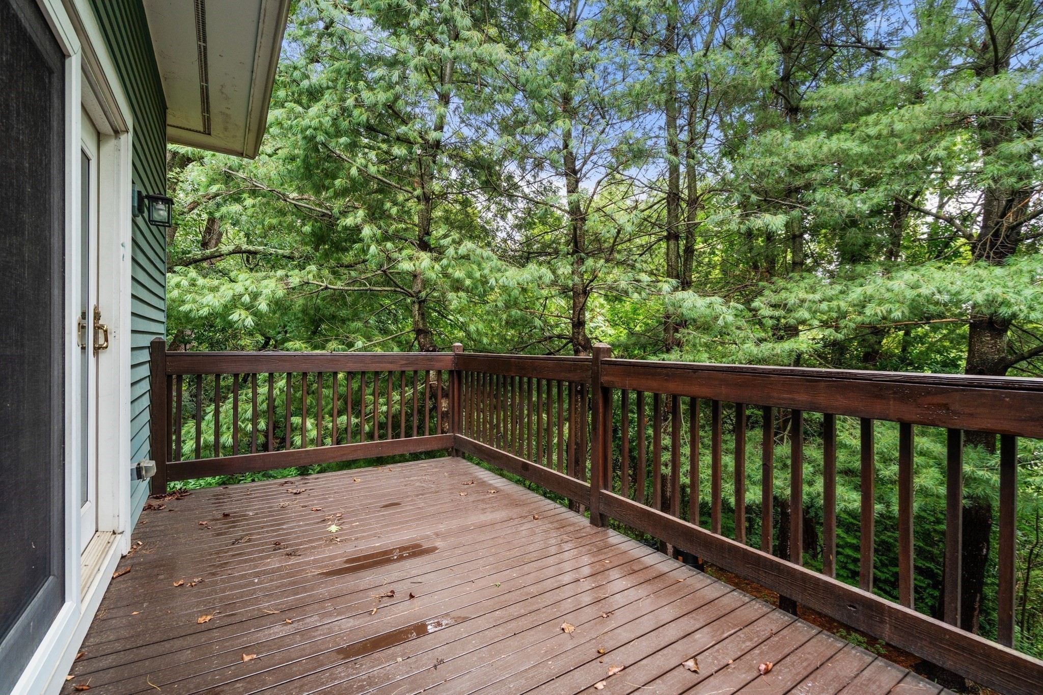 79 Beecher Pl # 5