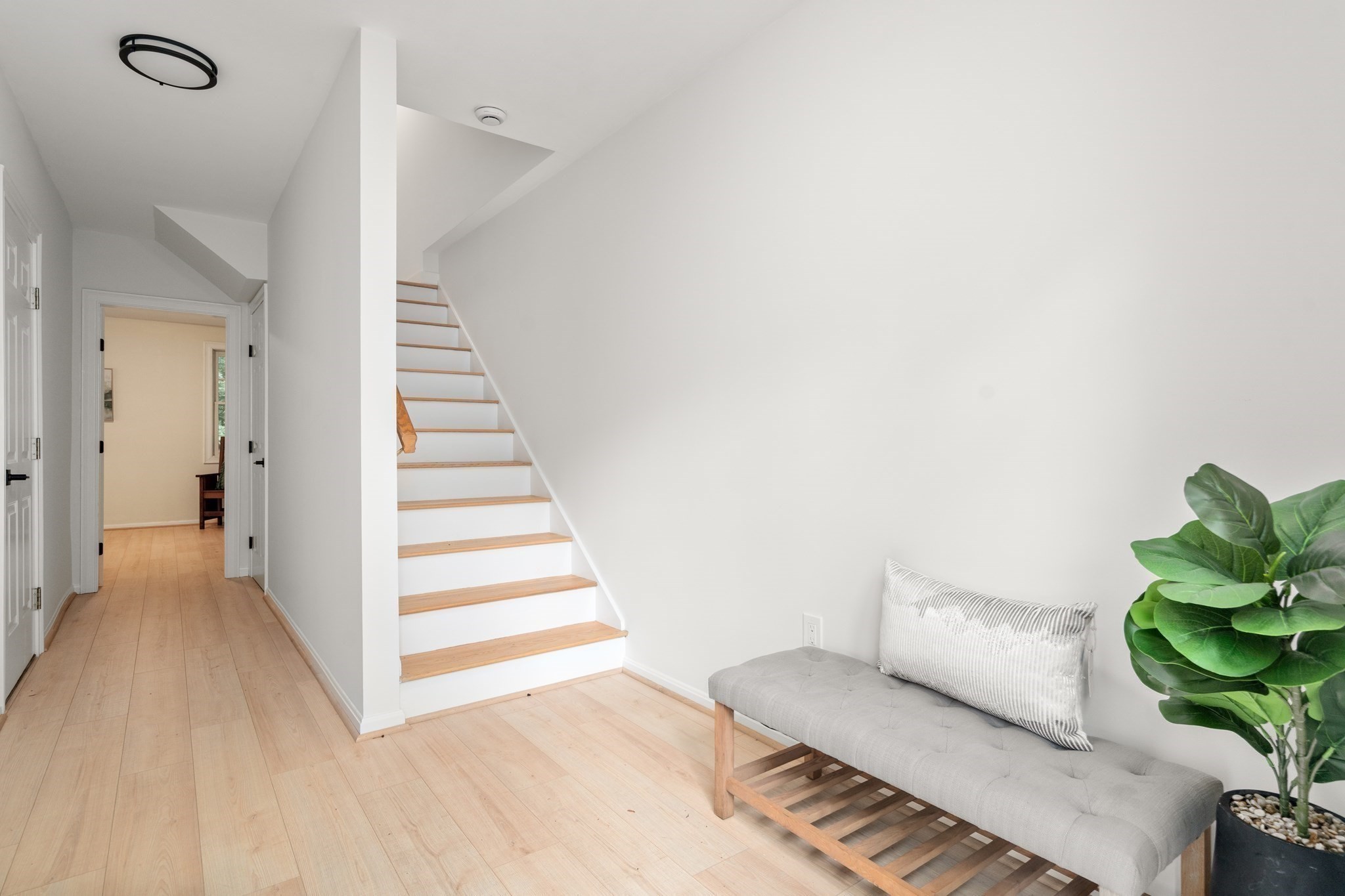 79 Beecher Pl # 5