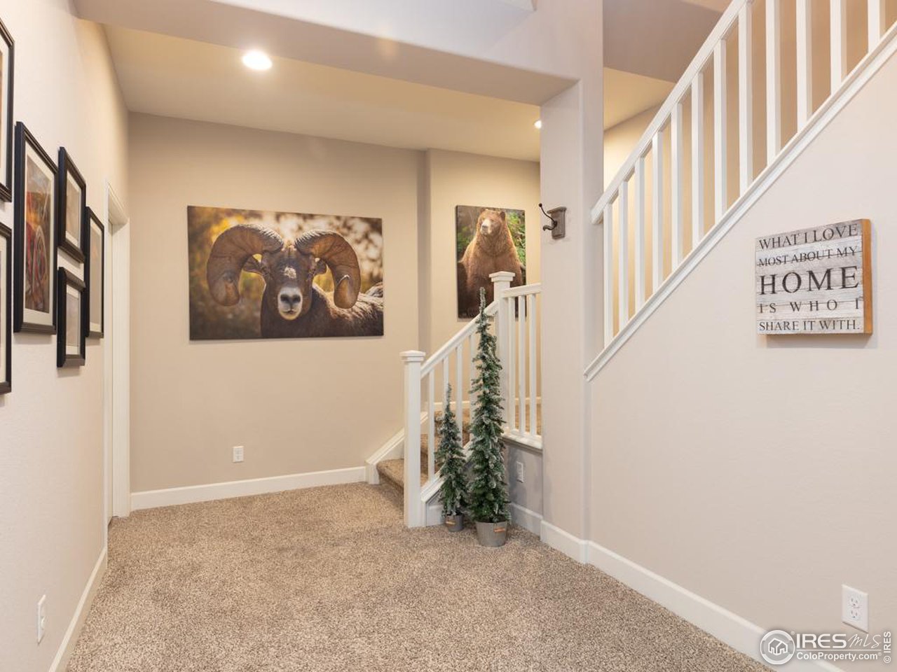 4313 Buffalo Mountain Dr