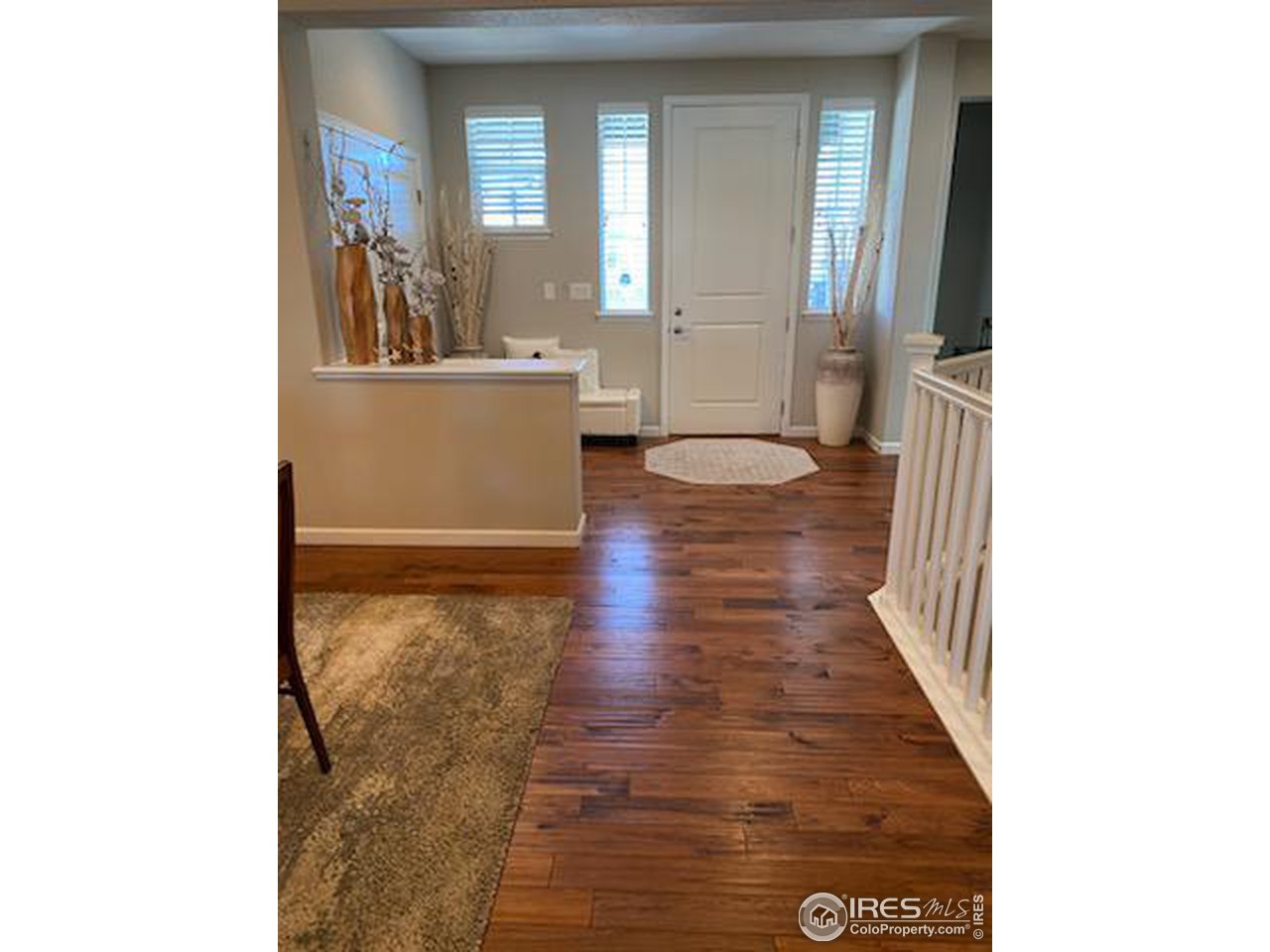 4313 Buffalo Mountain Dr