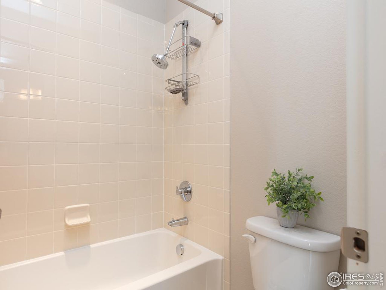 4313 Buffalo Mountain Dr