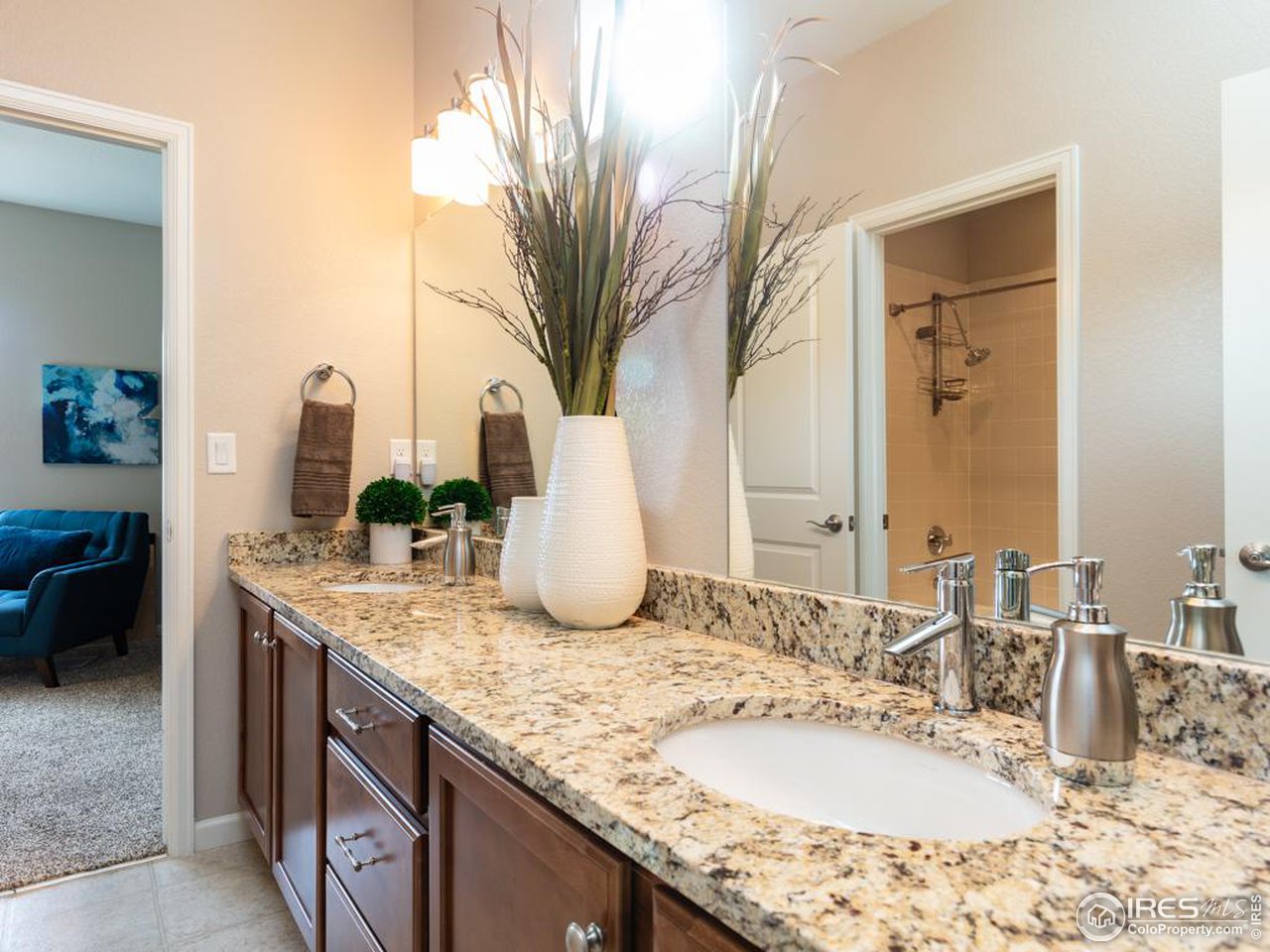 4313 Buffalo Mountain Dr