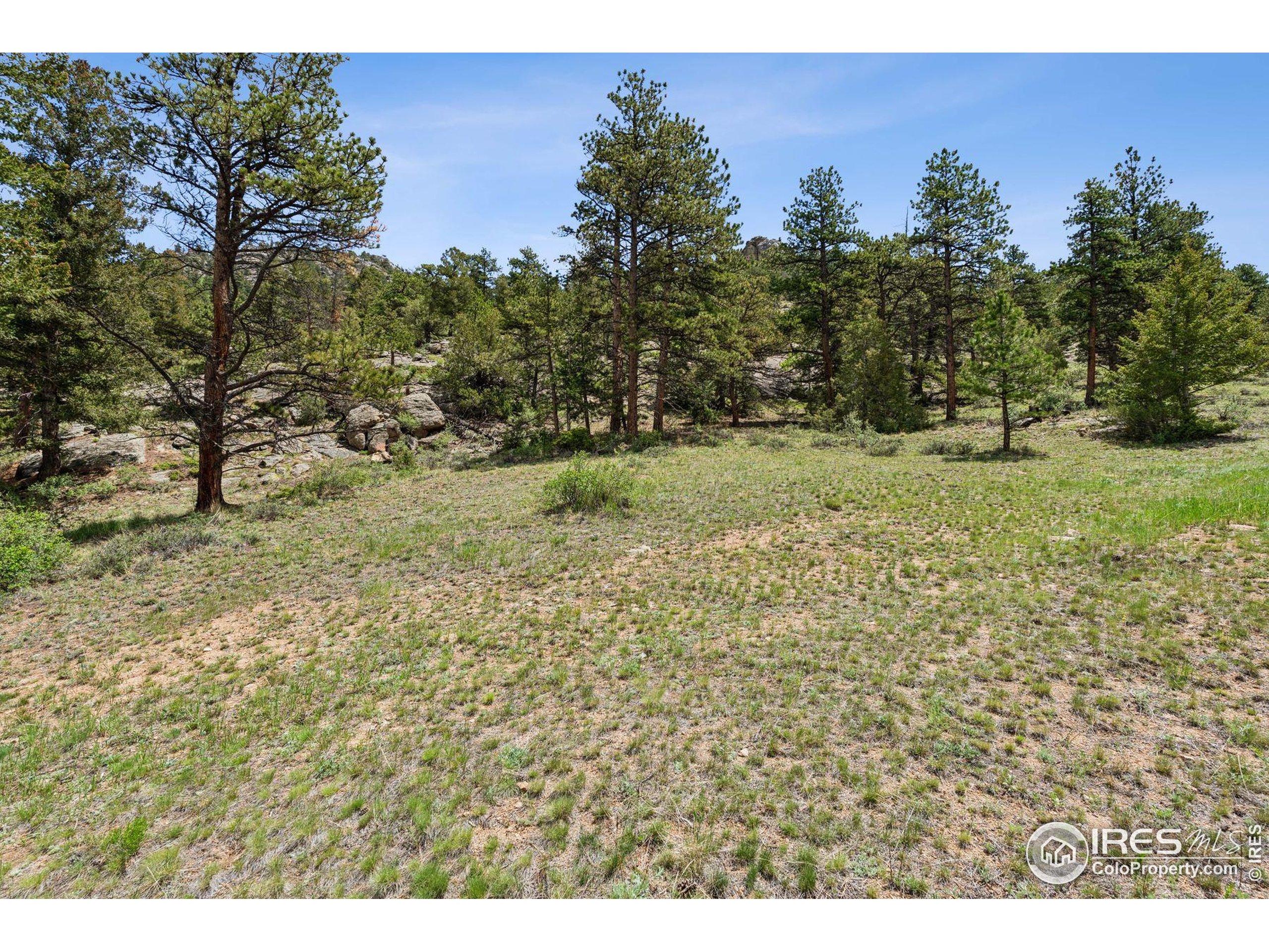 (TBD) Lot 42 Governors Ln
