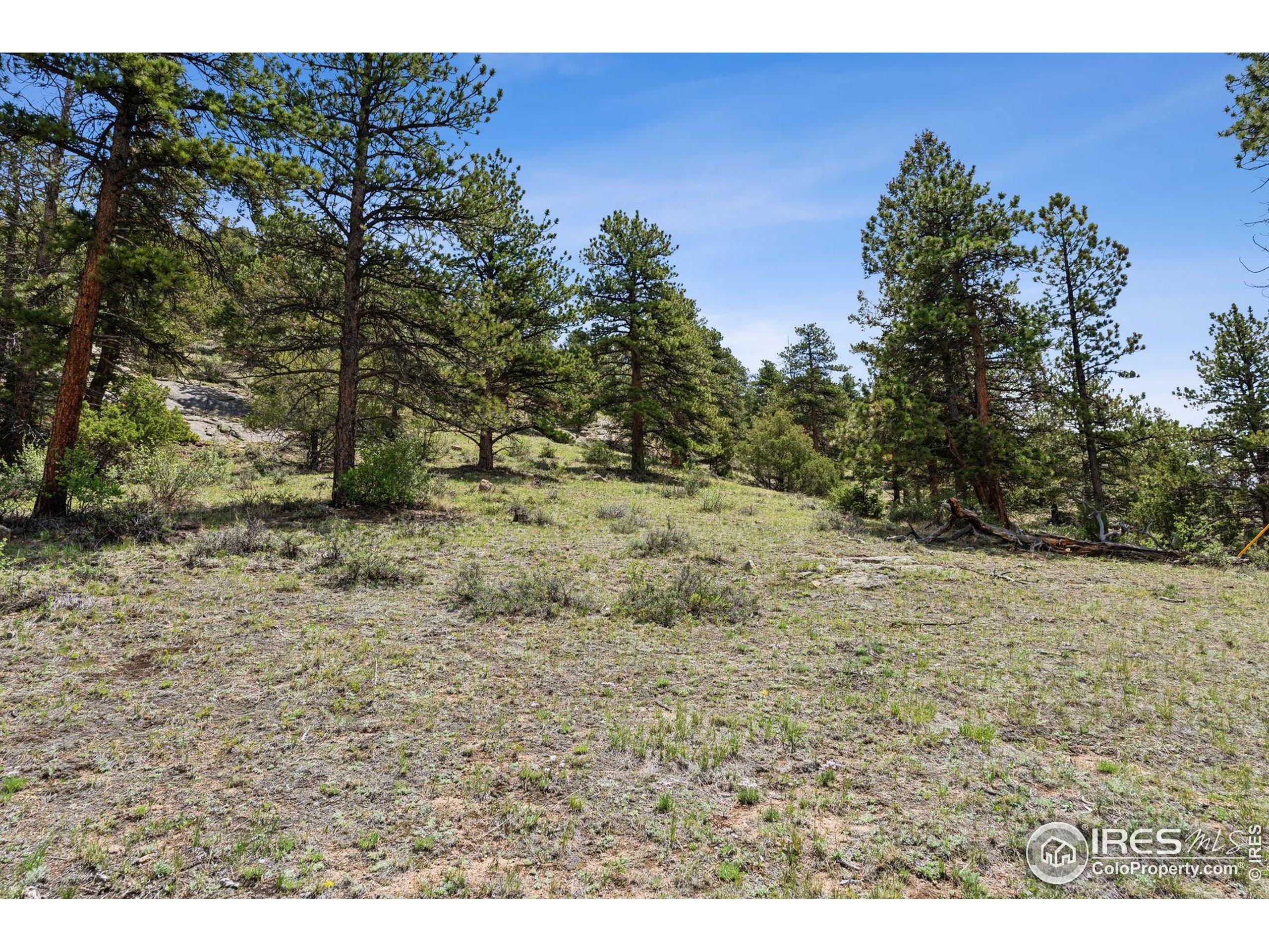 (TBD) Lot 42 Governors Ln