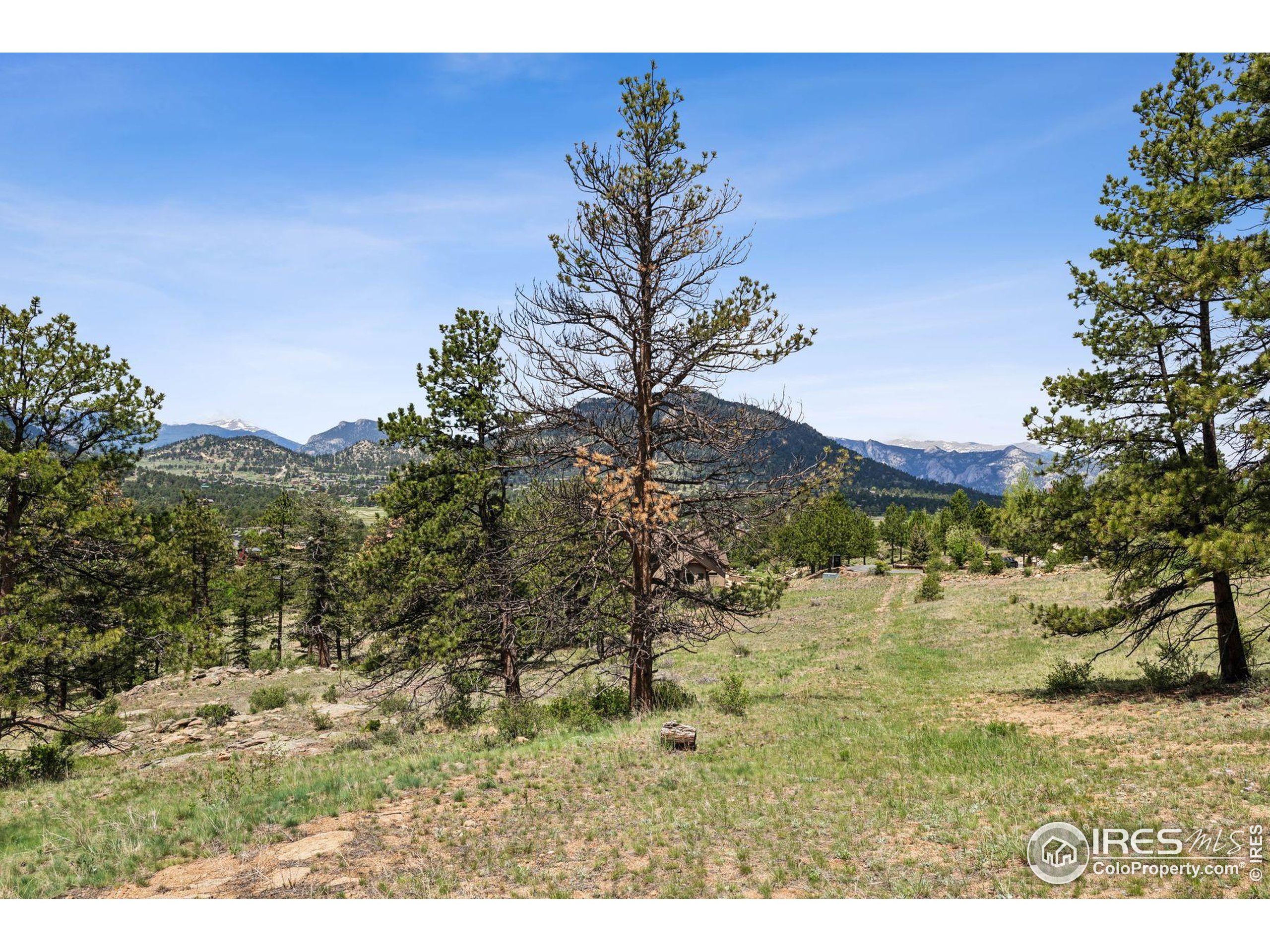(TBD) Lot 42 Governors Ln