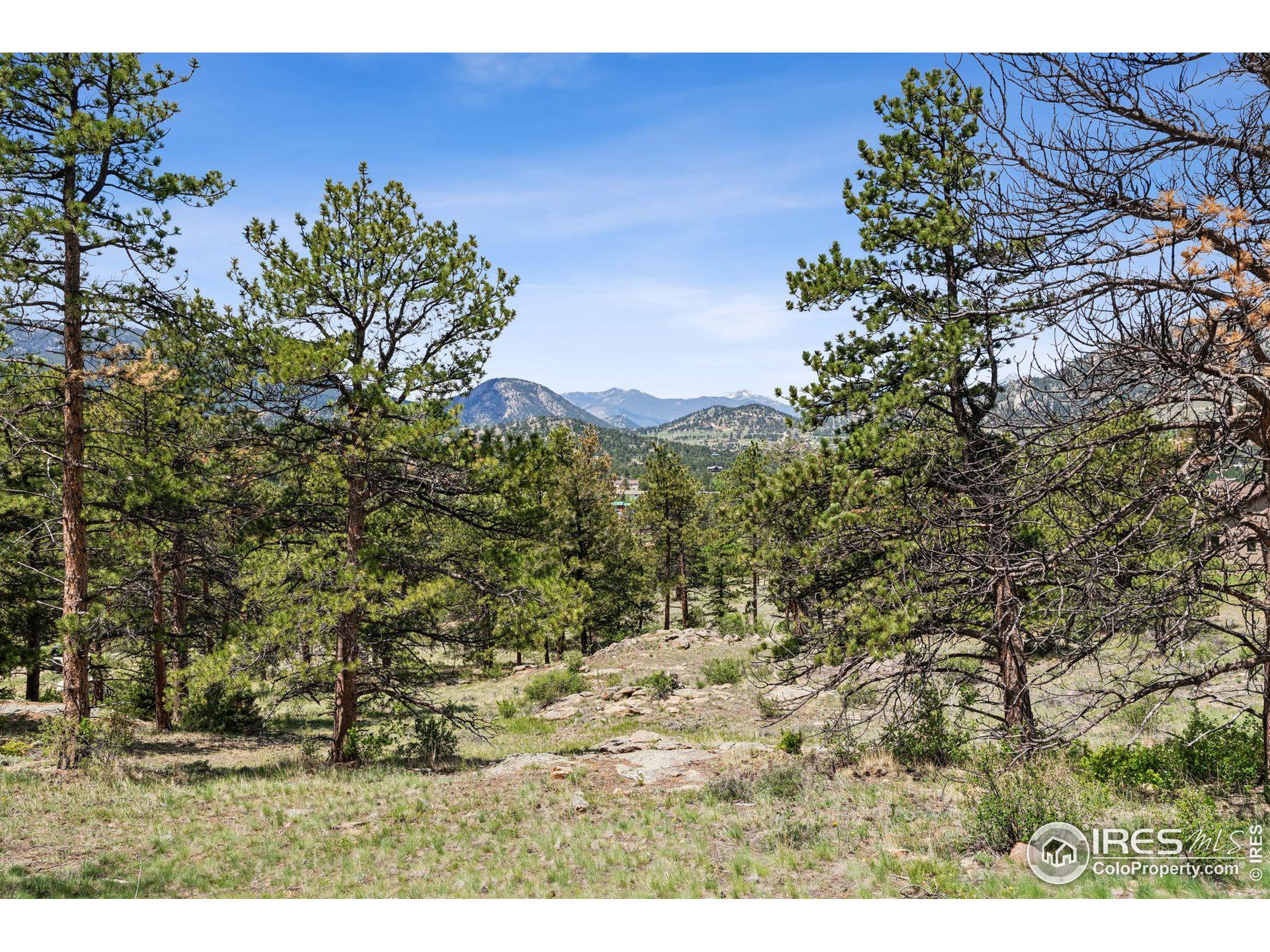 (TBD) Lot 42 Governors Ln