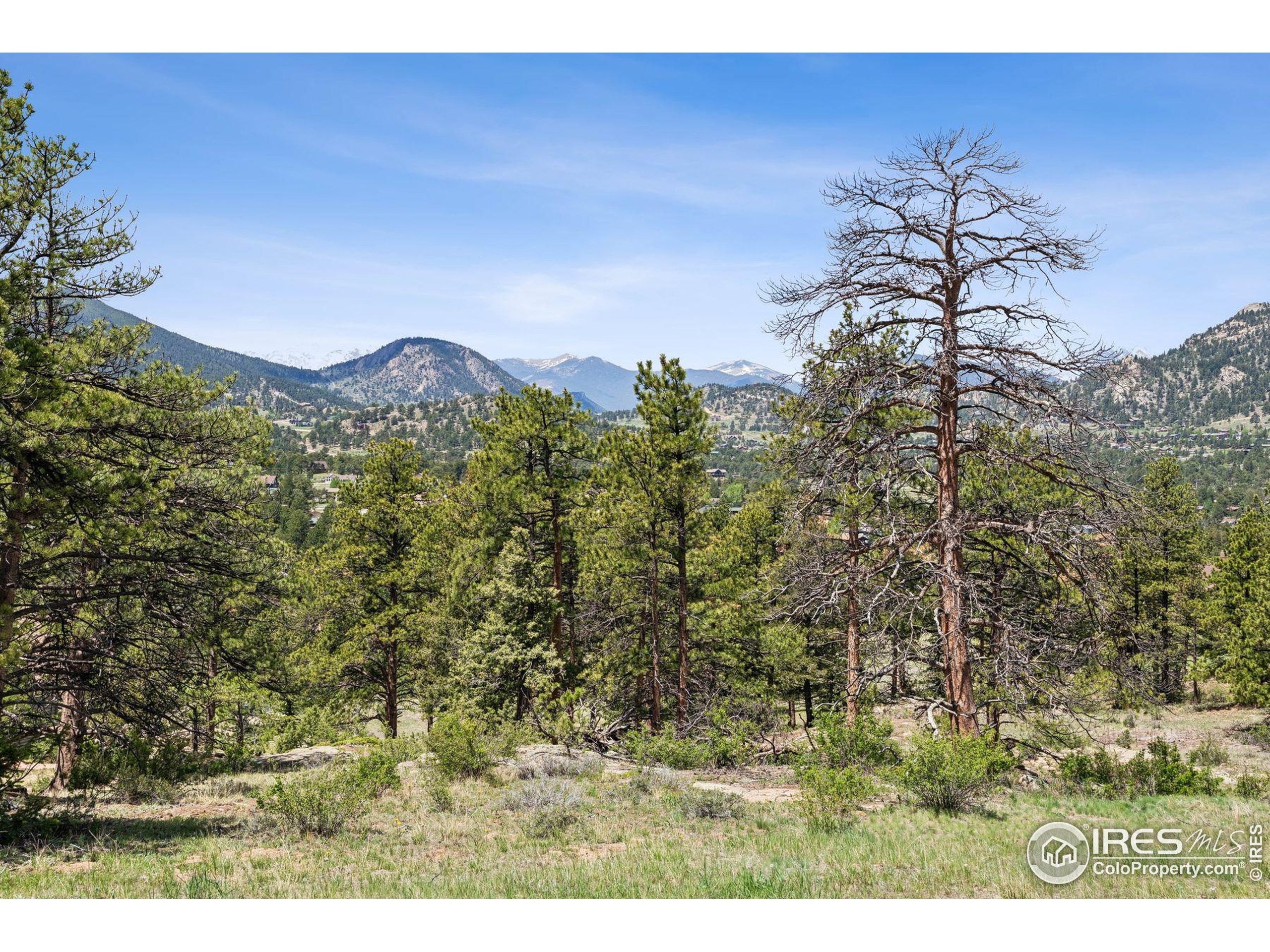 (TBD) Lot 42 Governors Ln