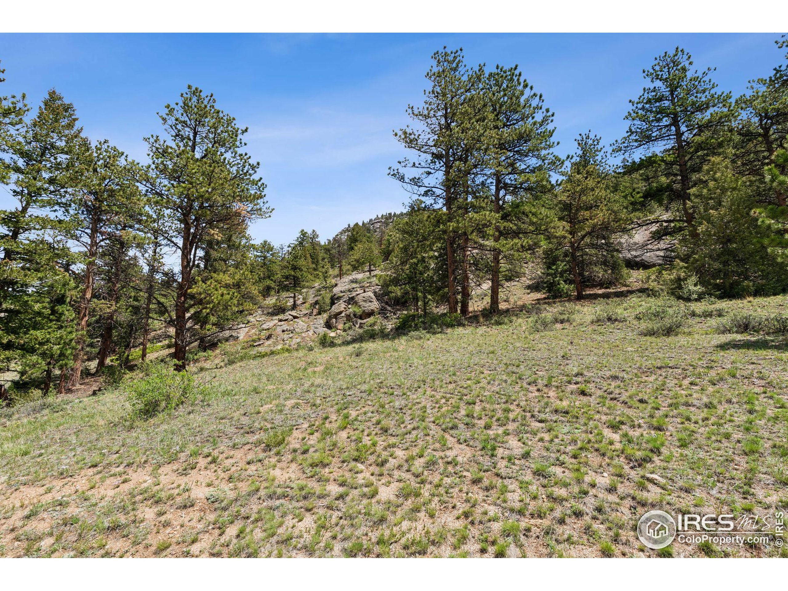 (TBD) Lot 42 Governors Ln