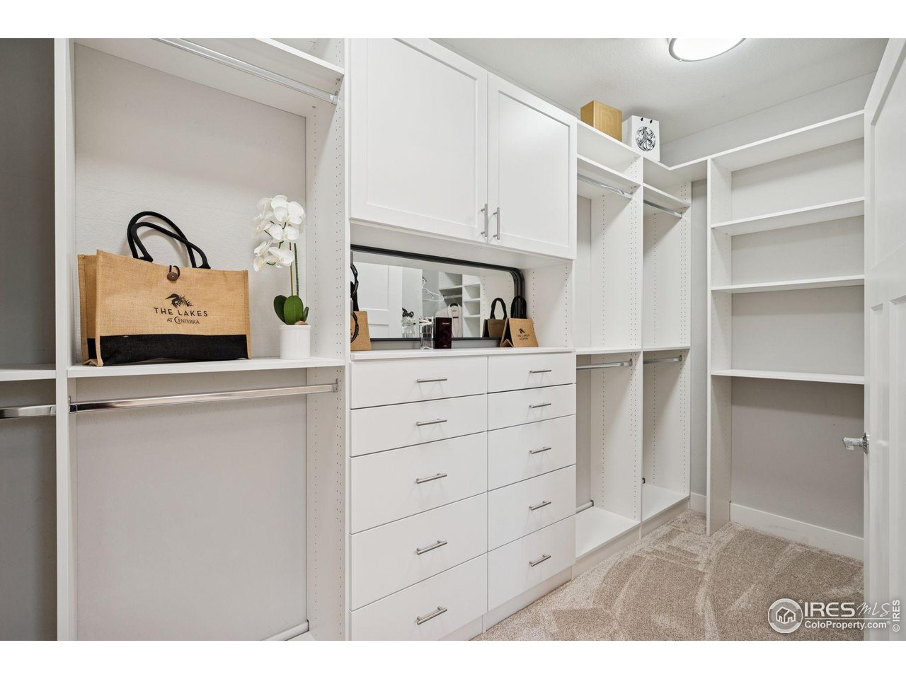 2503 Chaplin Creek Dr