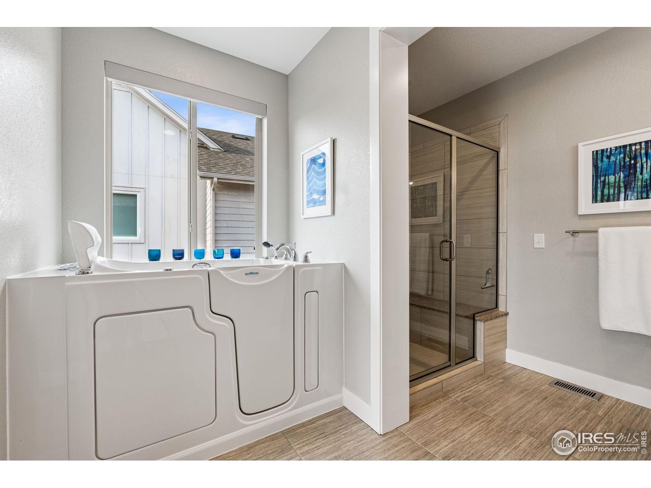 2605 Bluestem Willow Dr