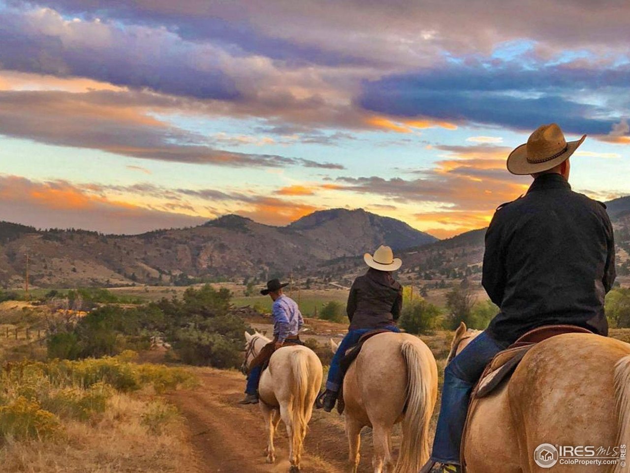 3300 Continental Cir