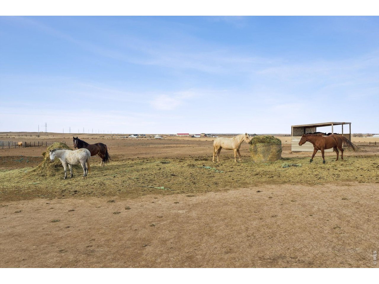 13013 County Road 86