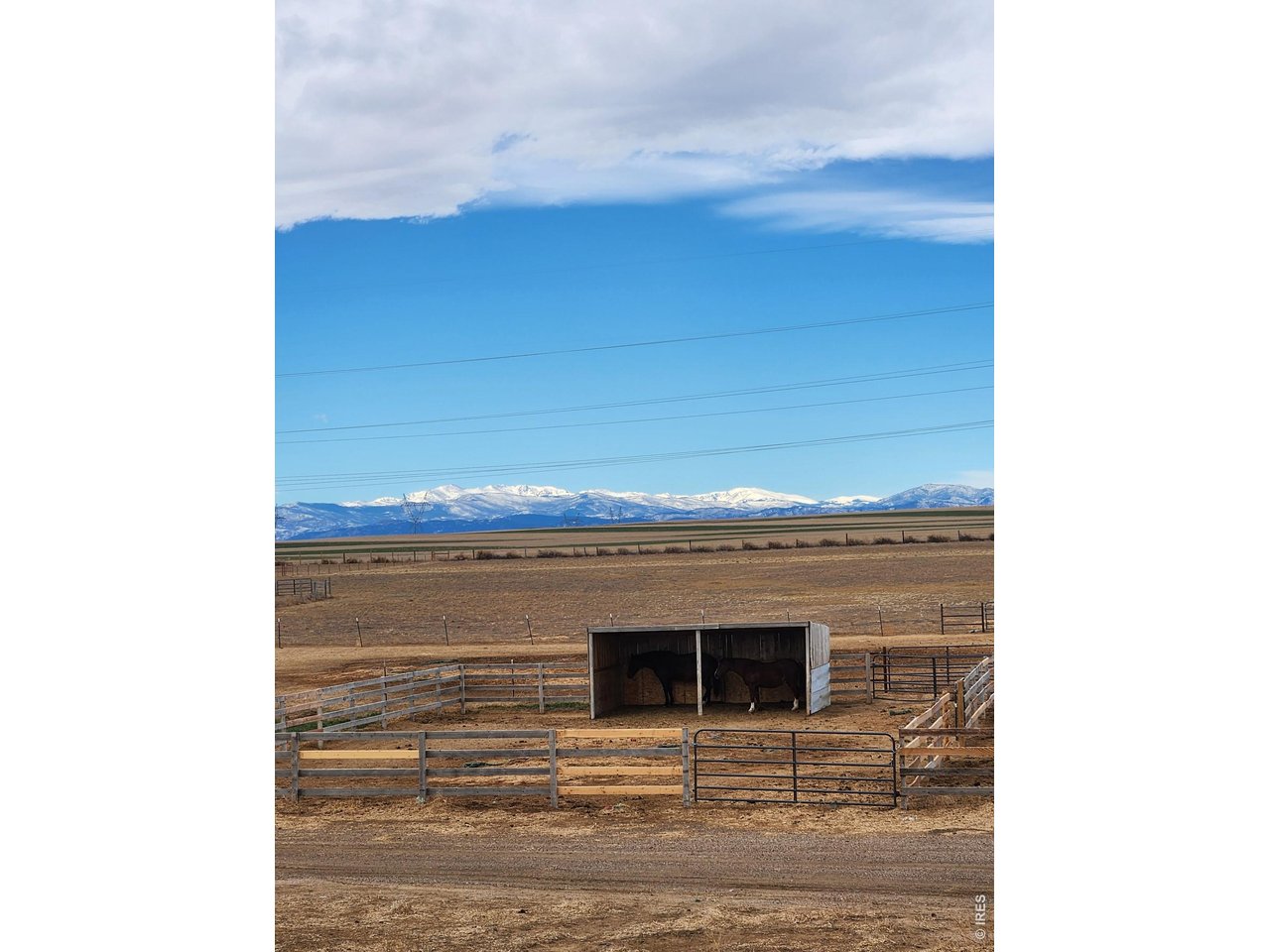 13013 County Road 86