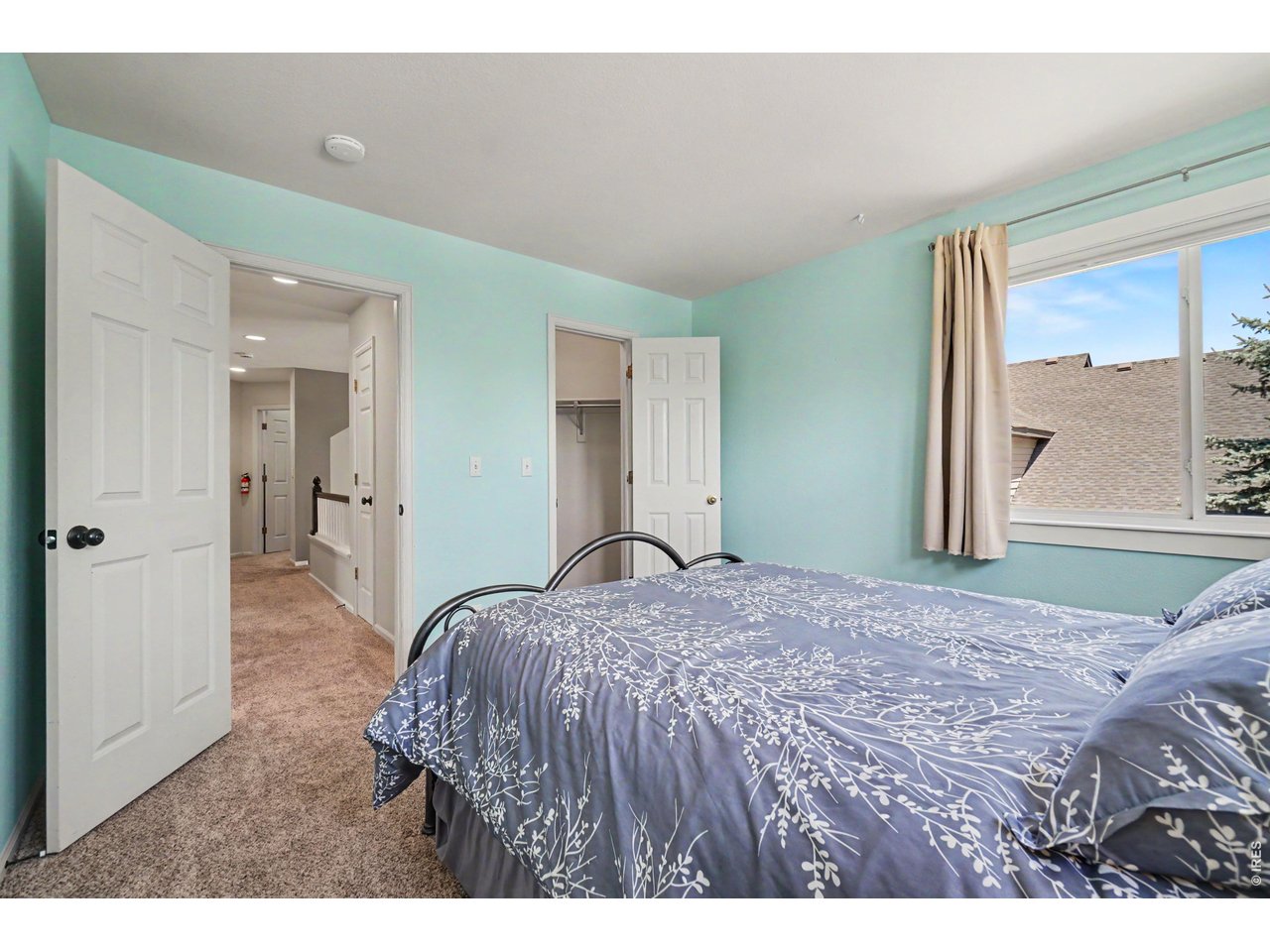 2751 Bristlecone Way