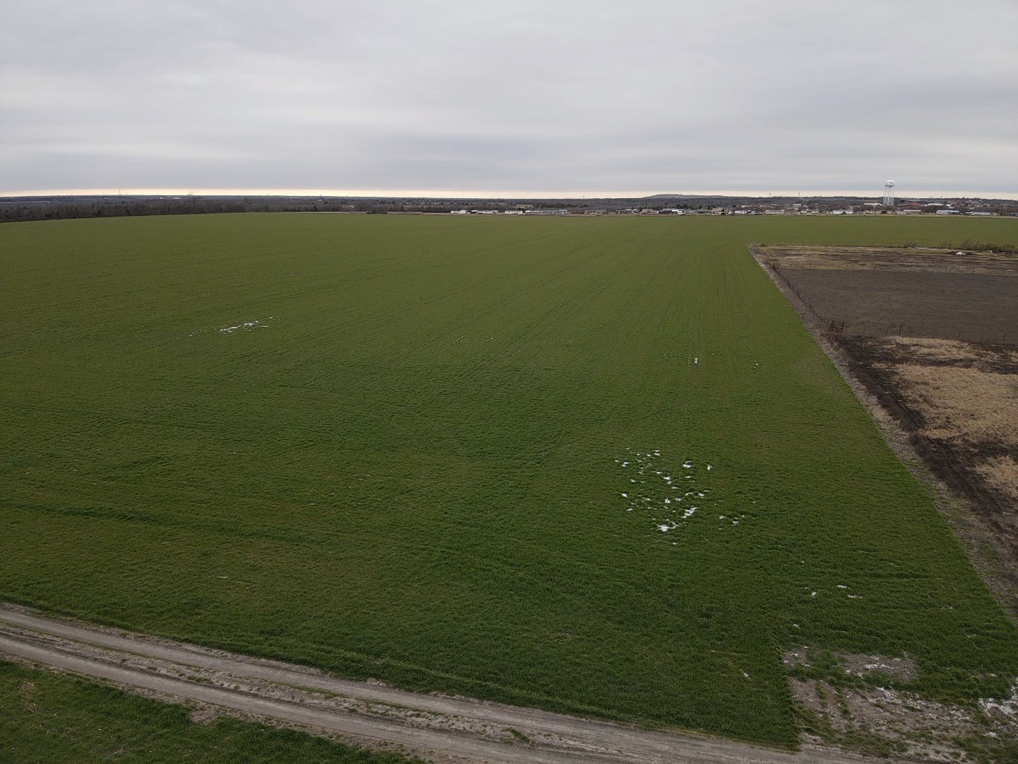 Green cultivated field bordered by fallow farmland, with a dirt road in the foreground.