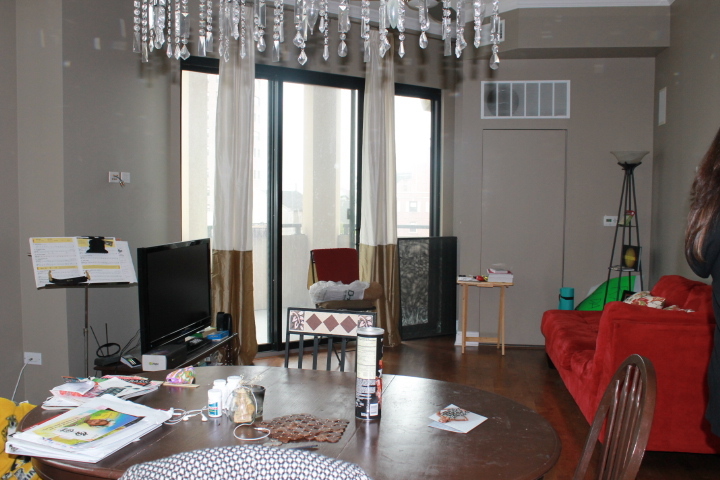 1464 S MICHIGAN Avenue Unit: 501