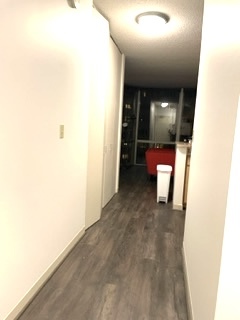 222 N Columbus Drive Unit: 1111