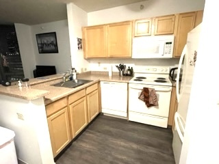 222 N Columbus Drive Unit: 1111