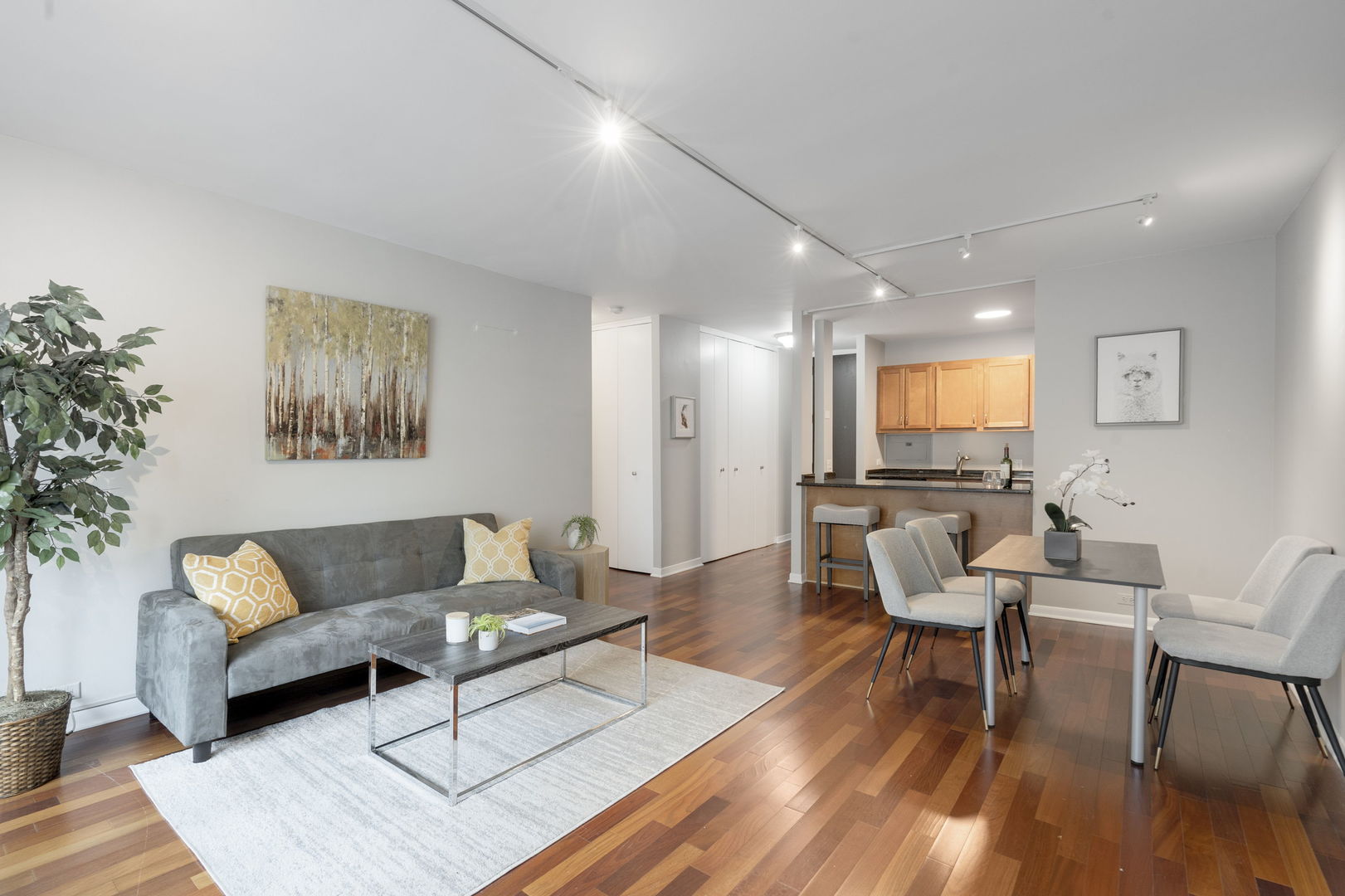 535 N Michigan Avenue Unit: 2205