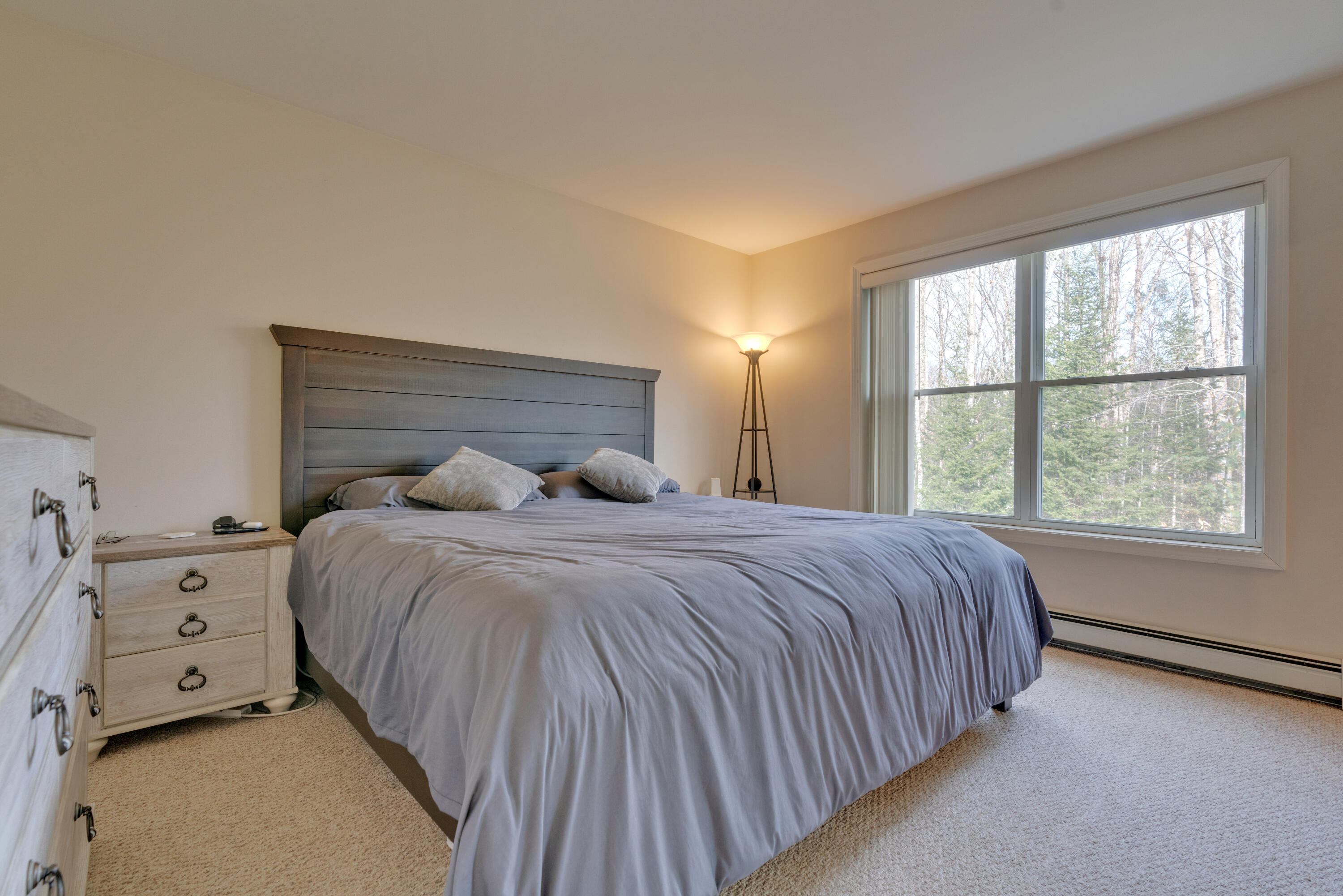 149 Saco Road