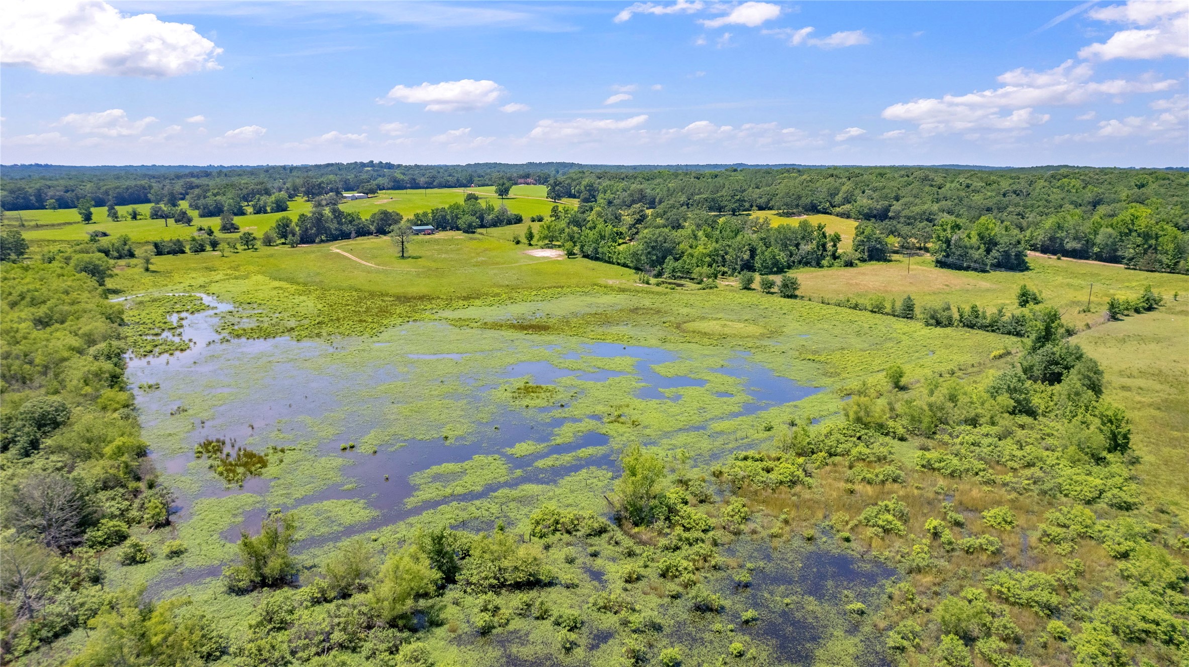 12250 County Road 3513