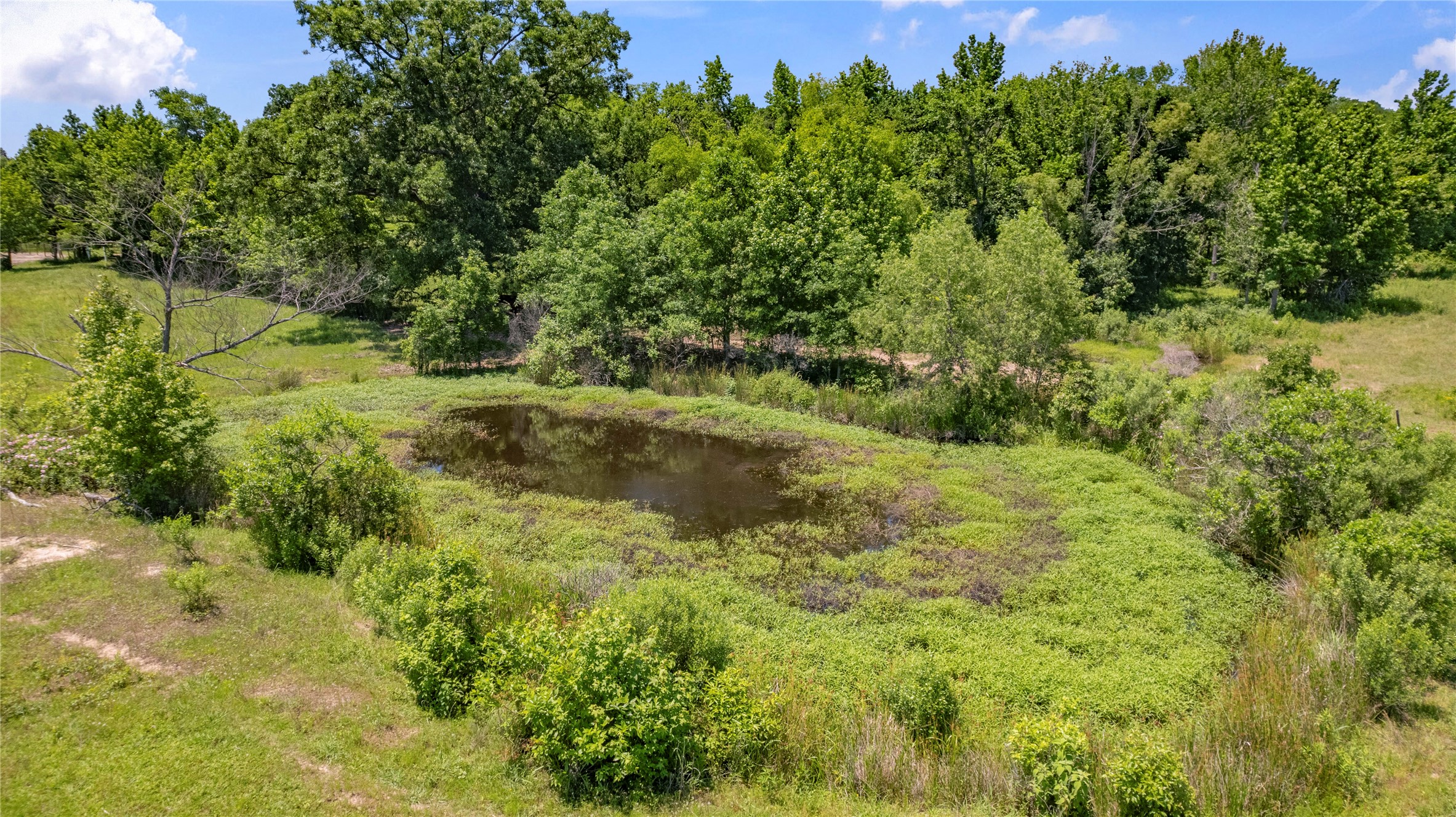 12250 County Road 3513