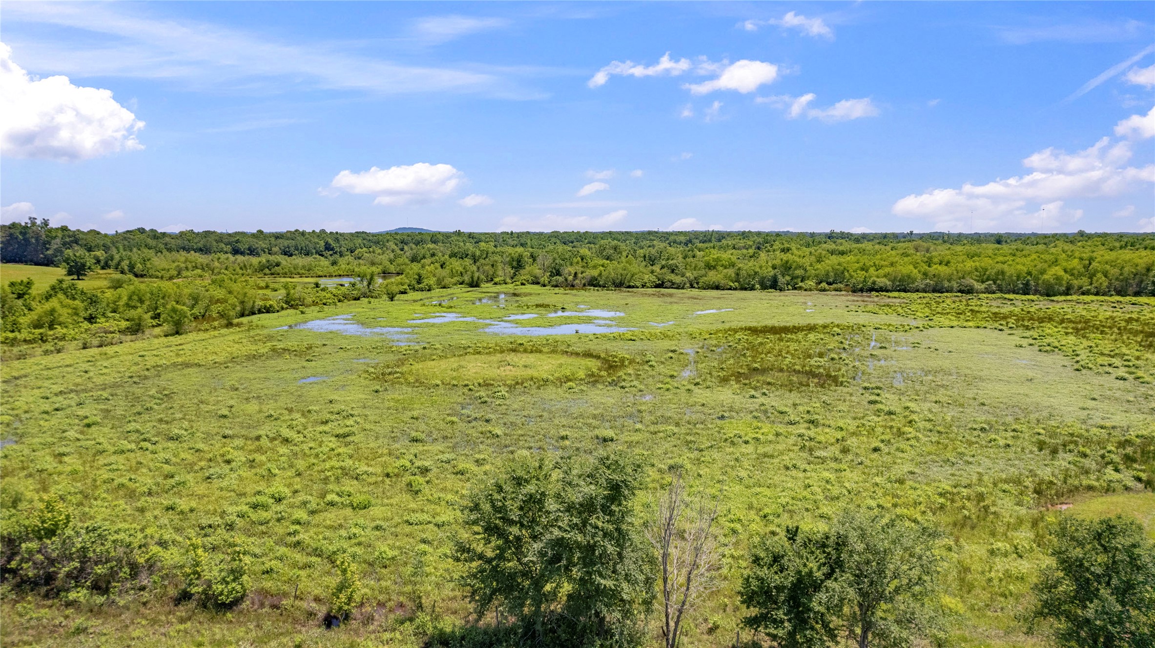 12250 County Road 3513