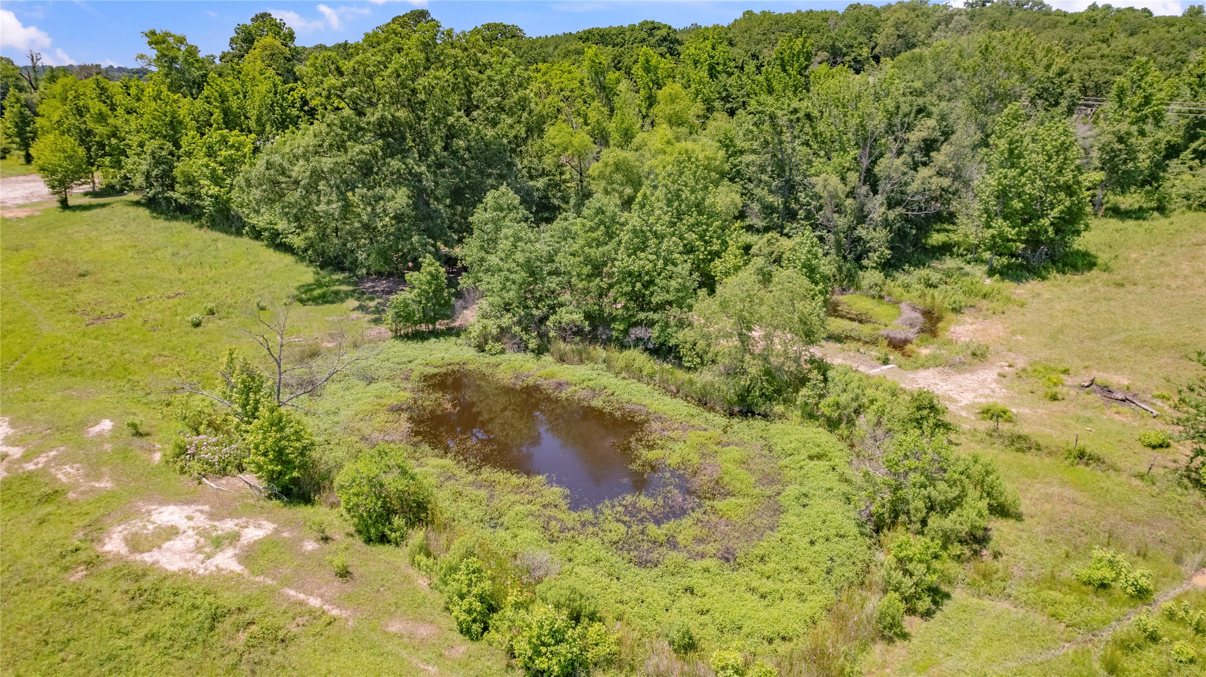 12250 County Road 3513