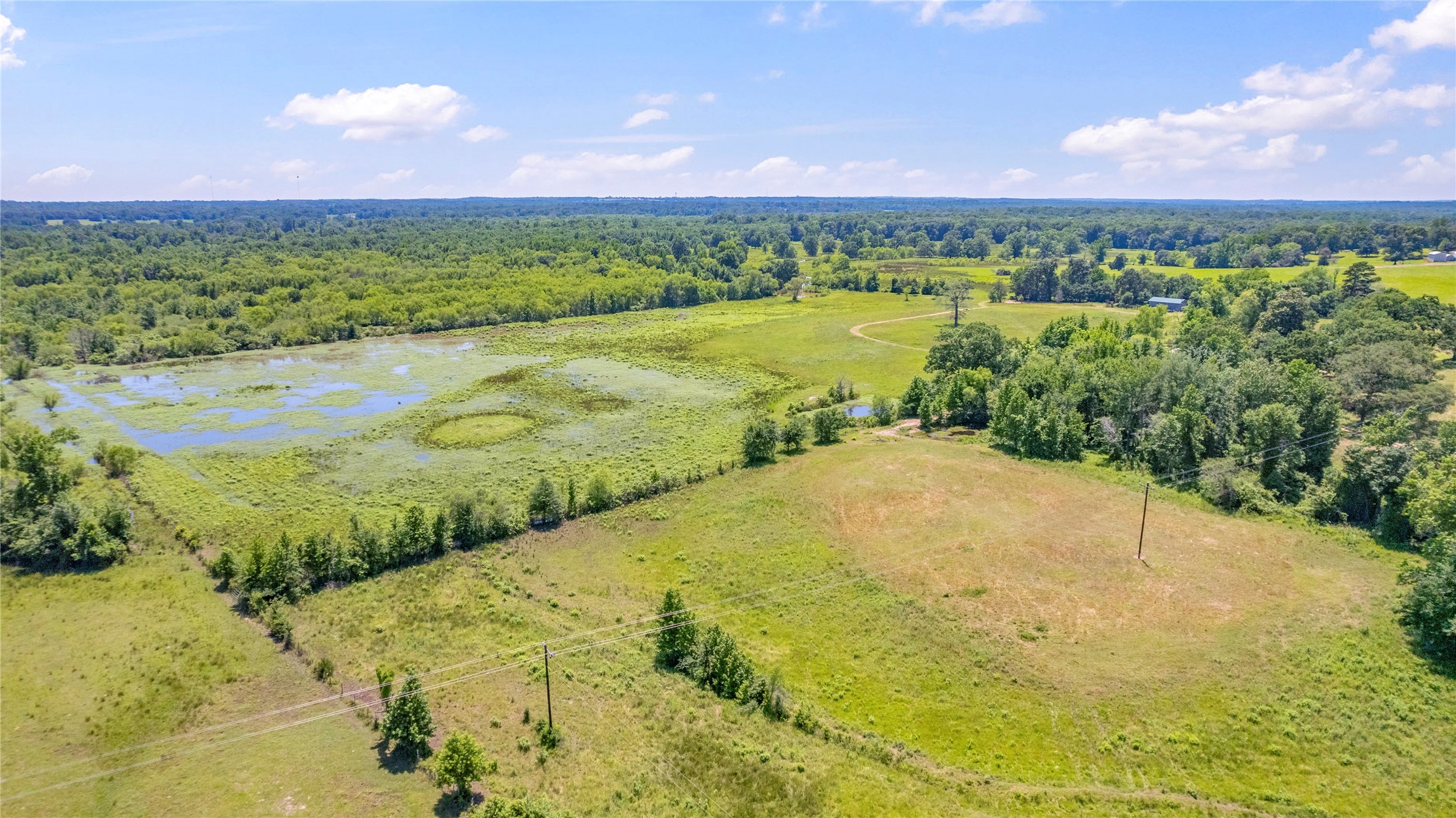 12250 County Road 3513