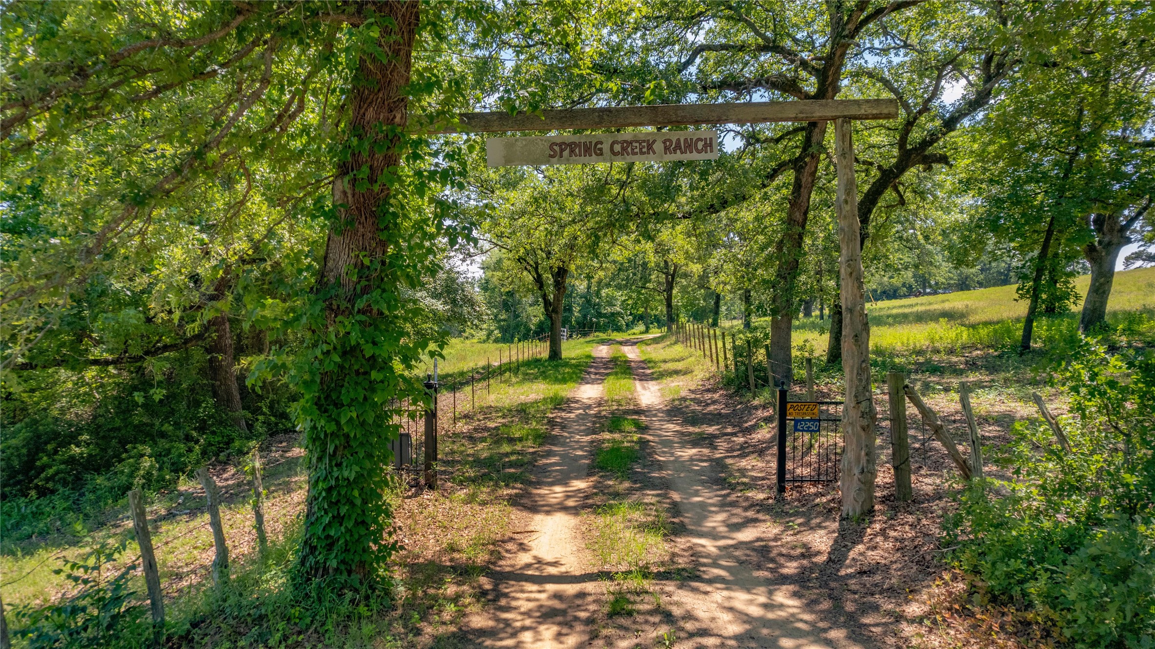 12250 County Road 3513