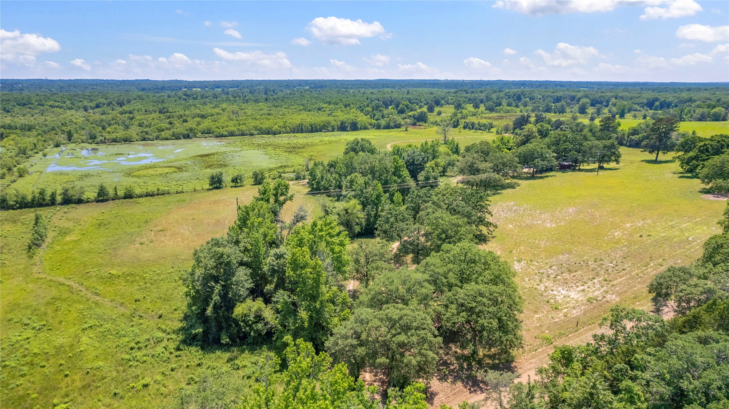 12250 County Road 3513