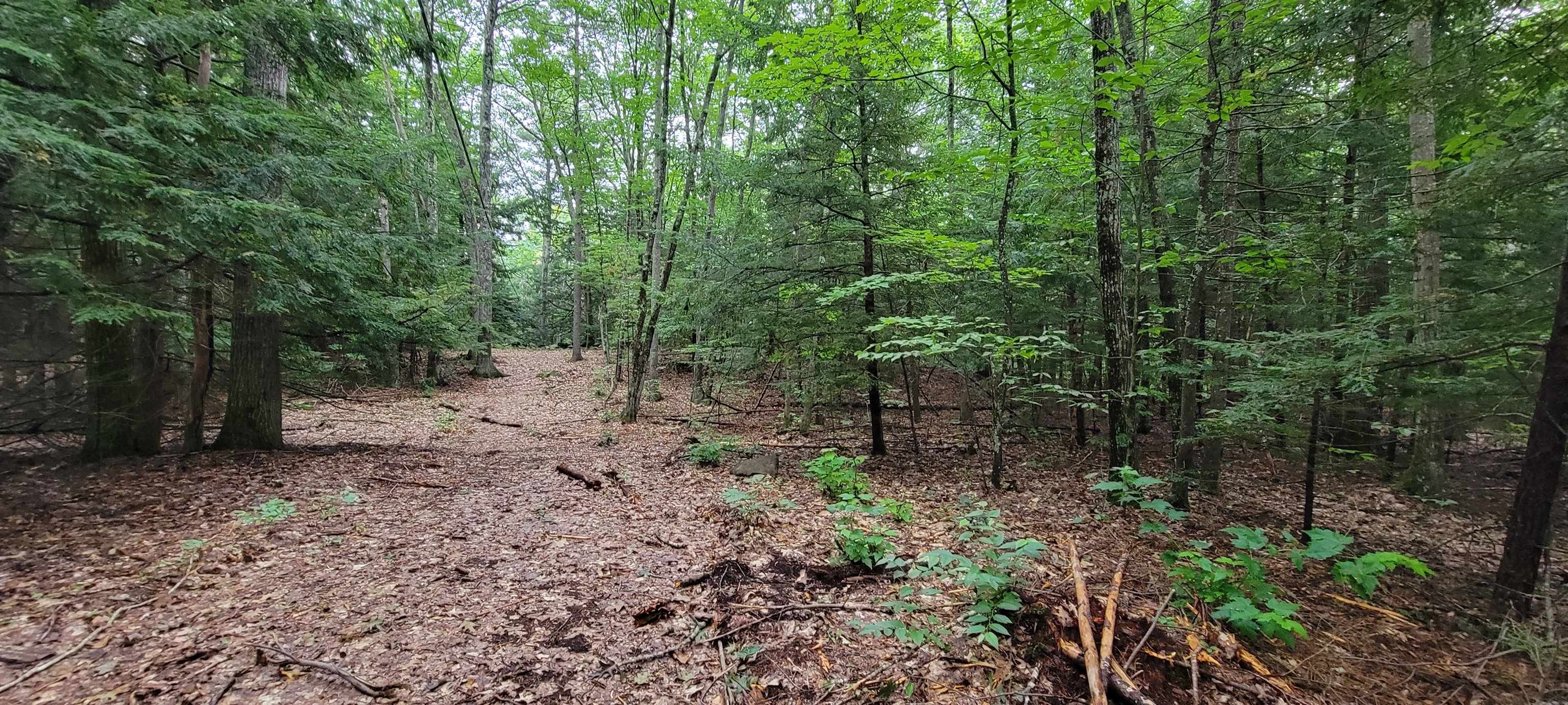 Map 22 - Lot 60 Red Oak Road