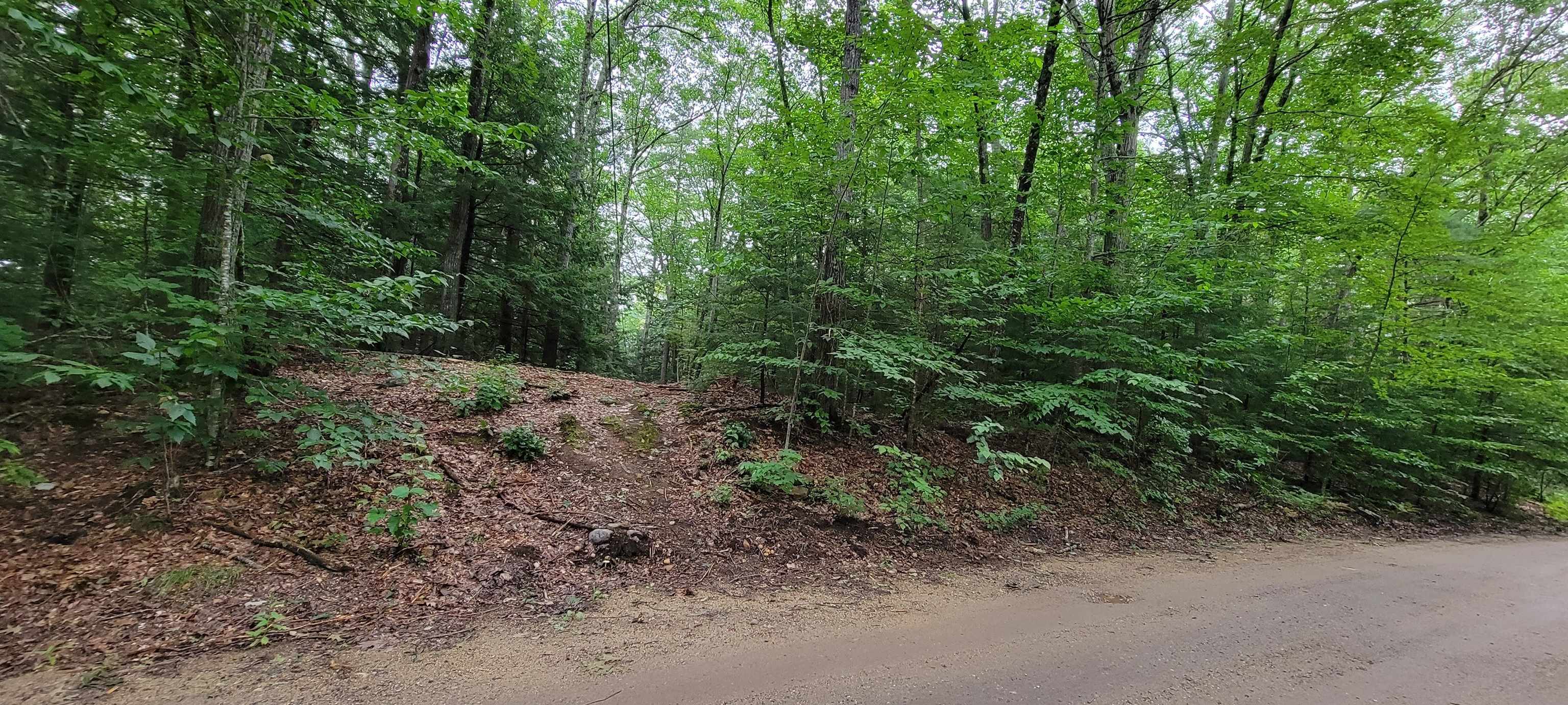 Map 22 - Lot 60 Red Oak Road