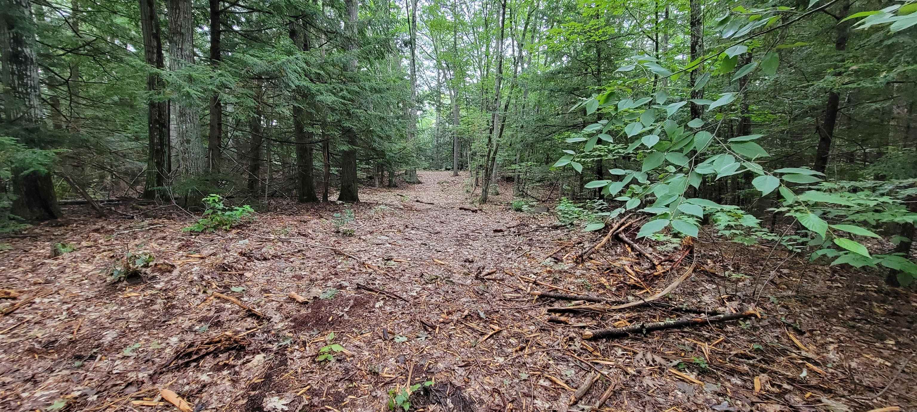 Map 22 - Lot 60 Red Oak Road
