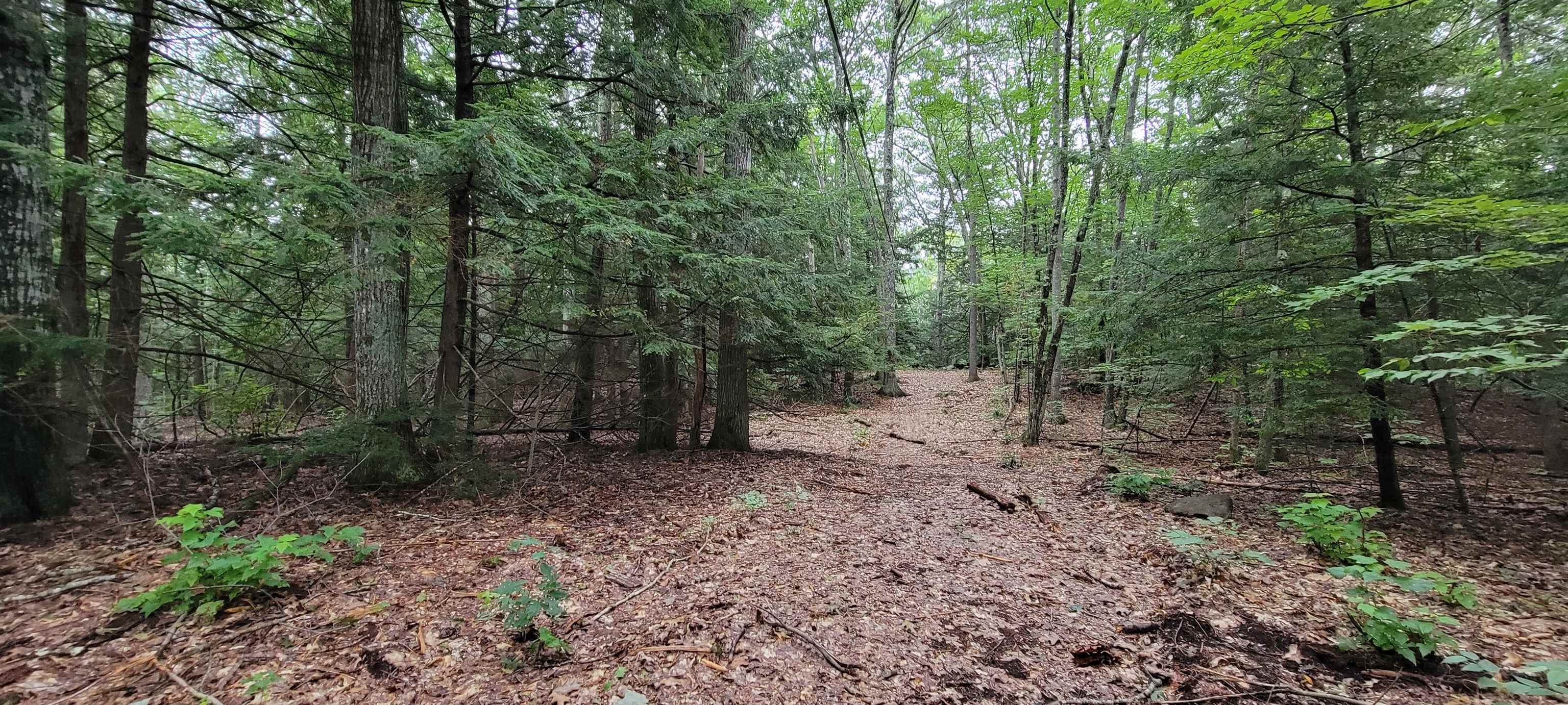 Map 22 - Lot 60 Red Oak Road