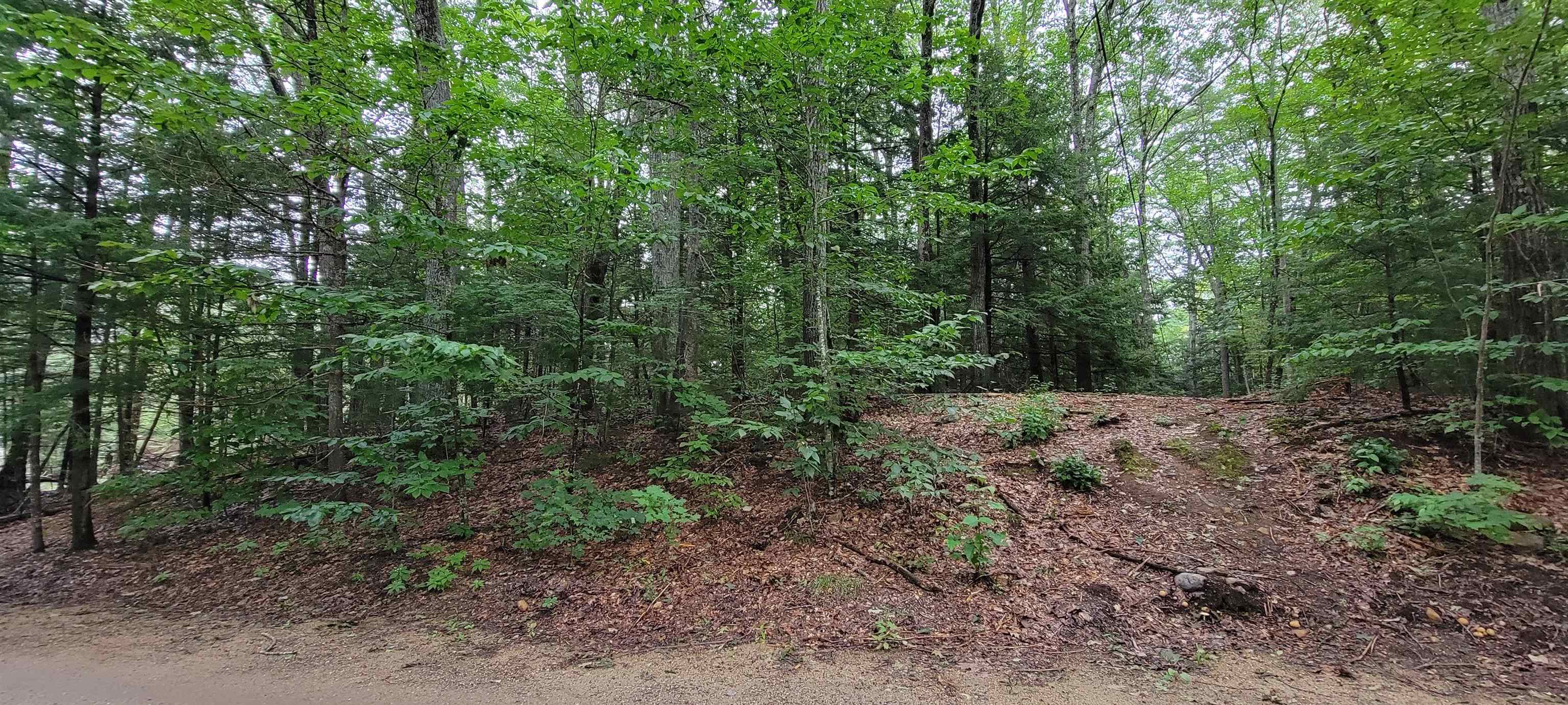 Map 22 - Lot 60 Red Oak Road