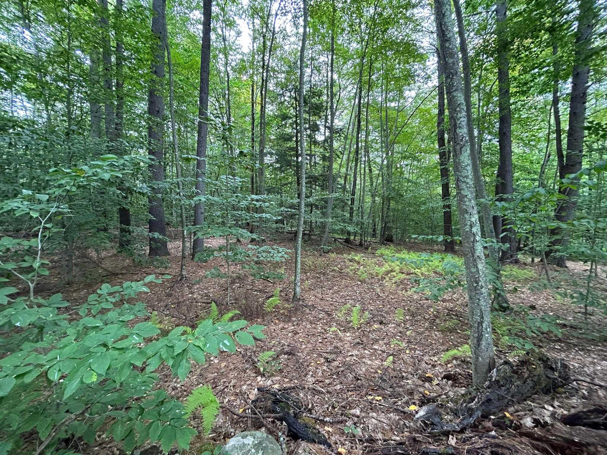 101-125 Winslow Road Unit: Map 101 Lot 125