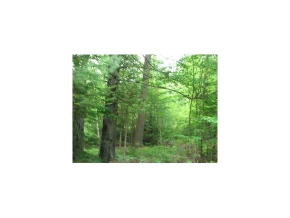 ASHUELOT Drive