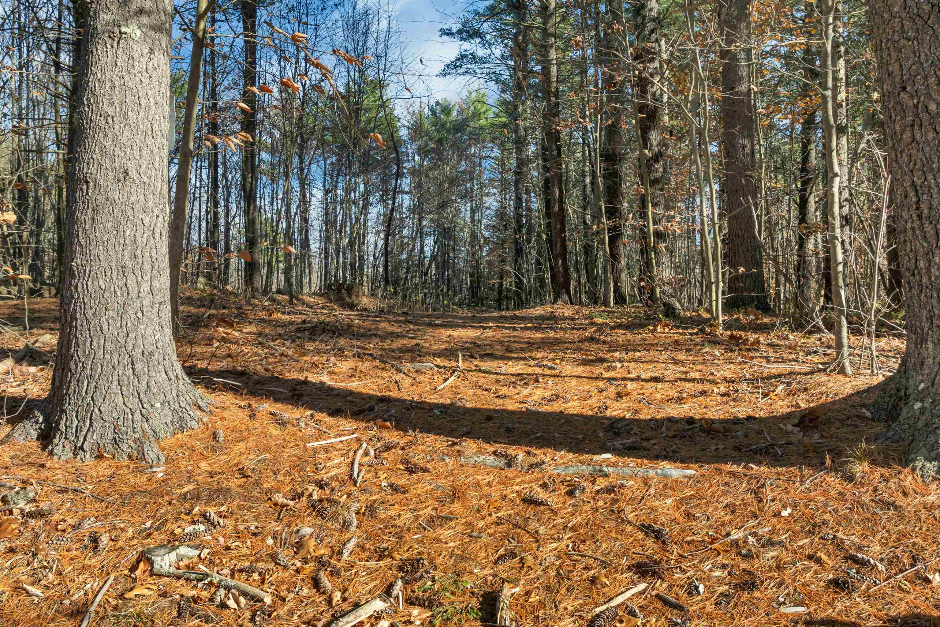 77 White Rock Hill Road