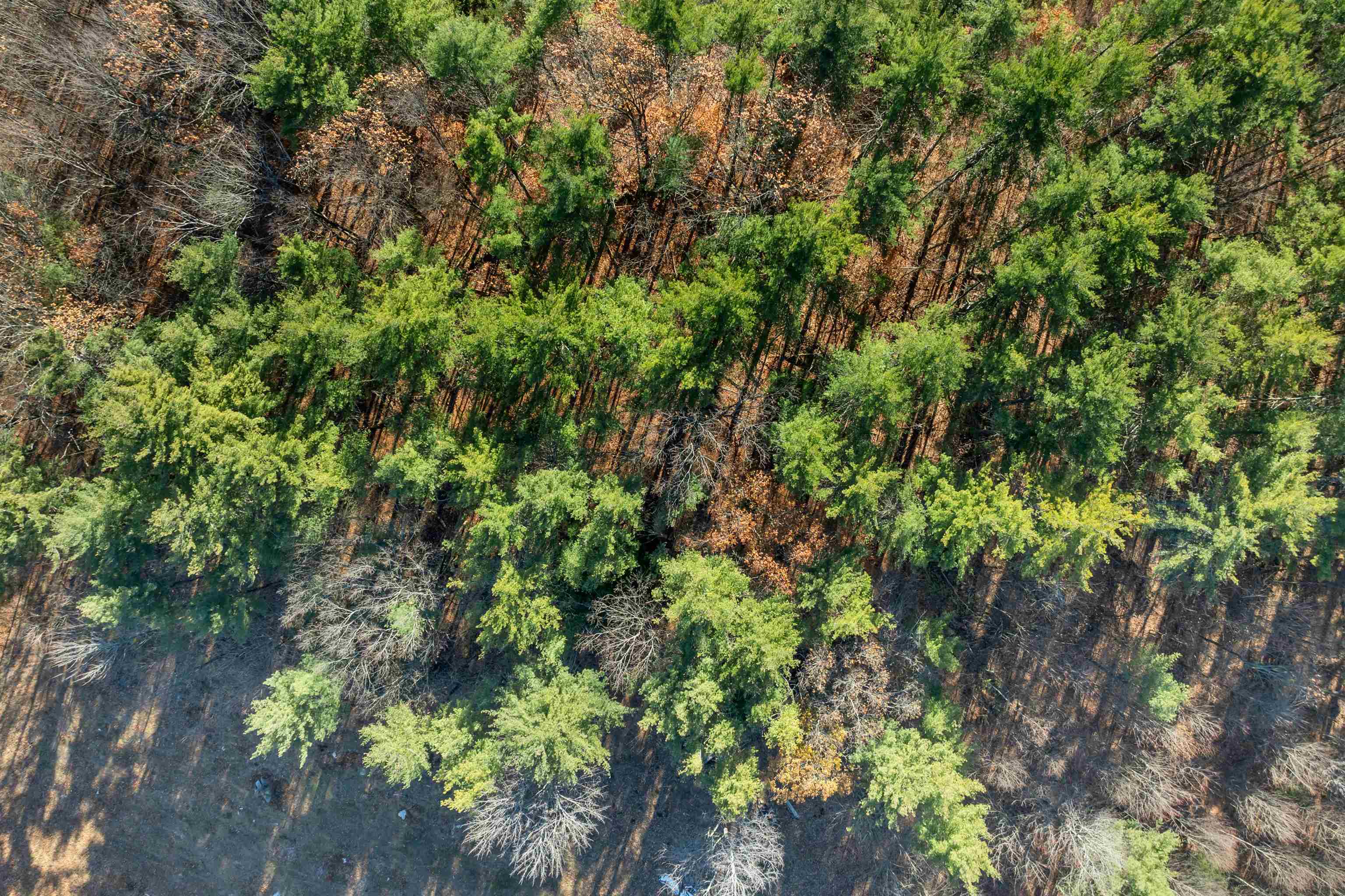 77 White Rock Hill Road