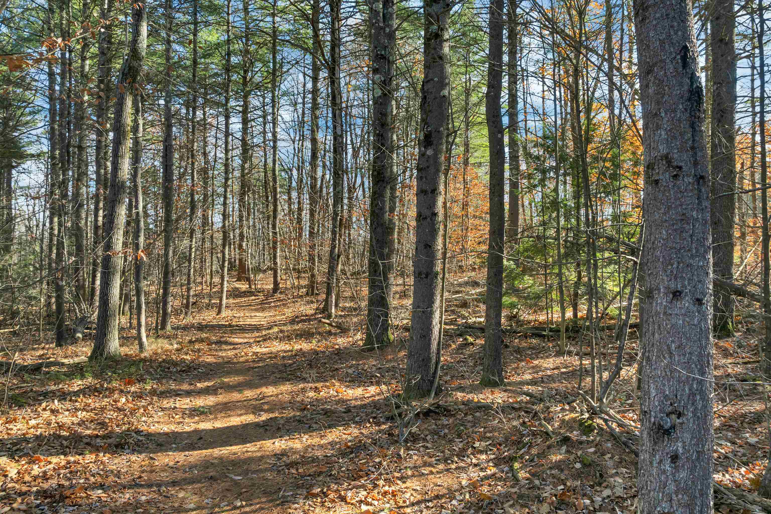 77 White Rock Hill Road