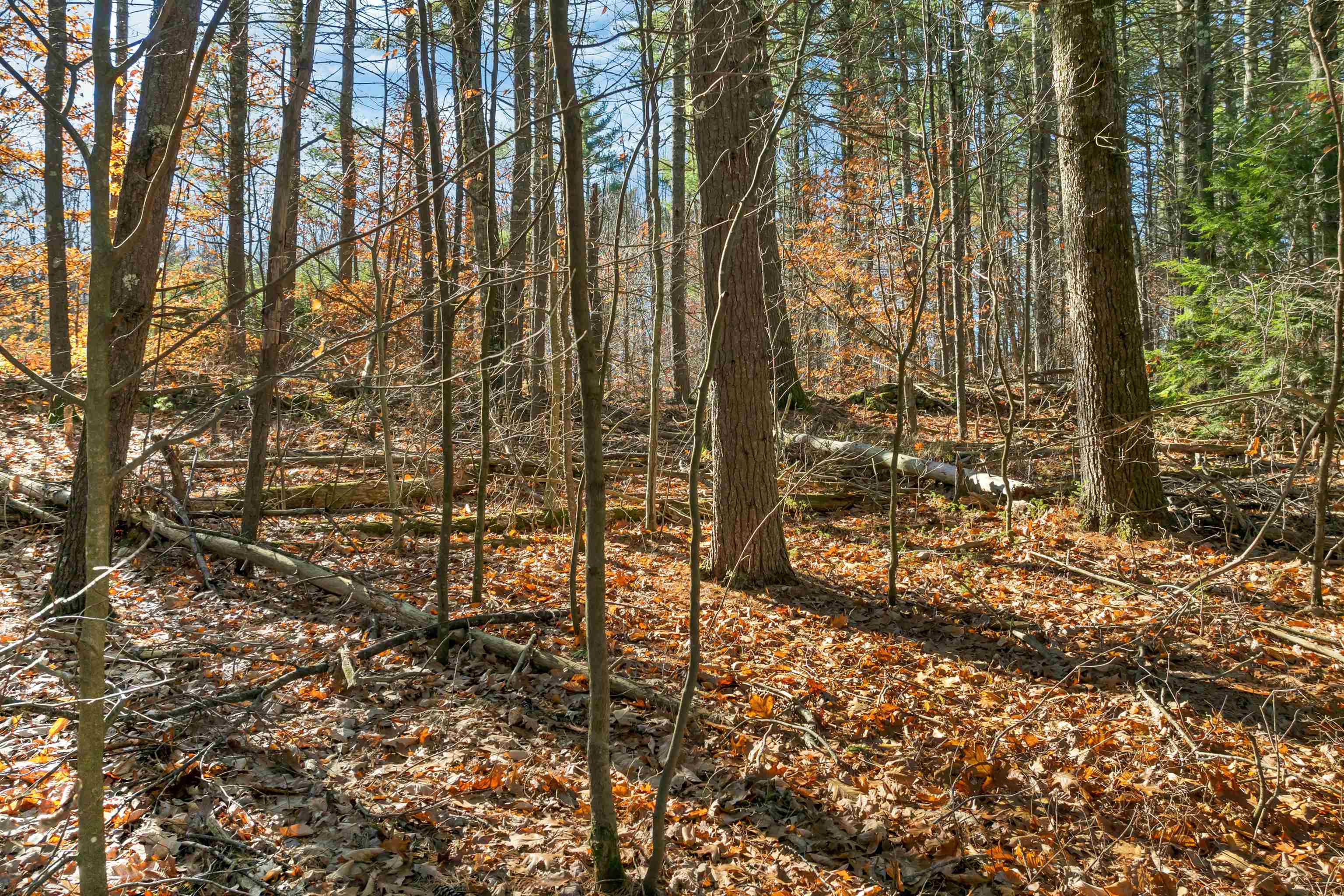 77 White Rock Hill Road